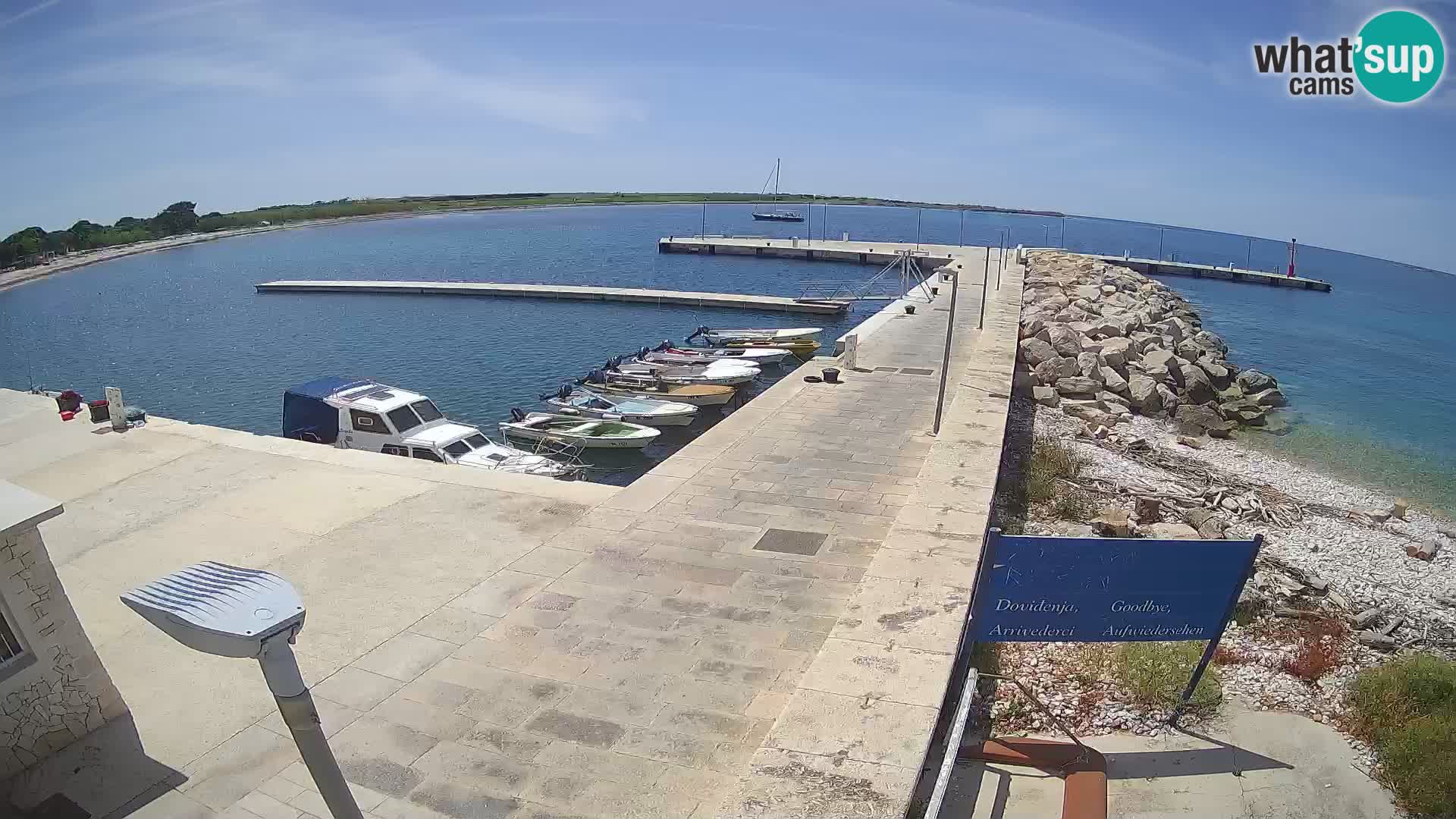 Cámara web de la isla de Unije: explore la belleza de la joya escondida de Croacia