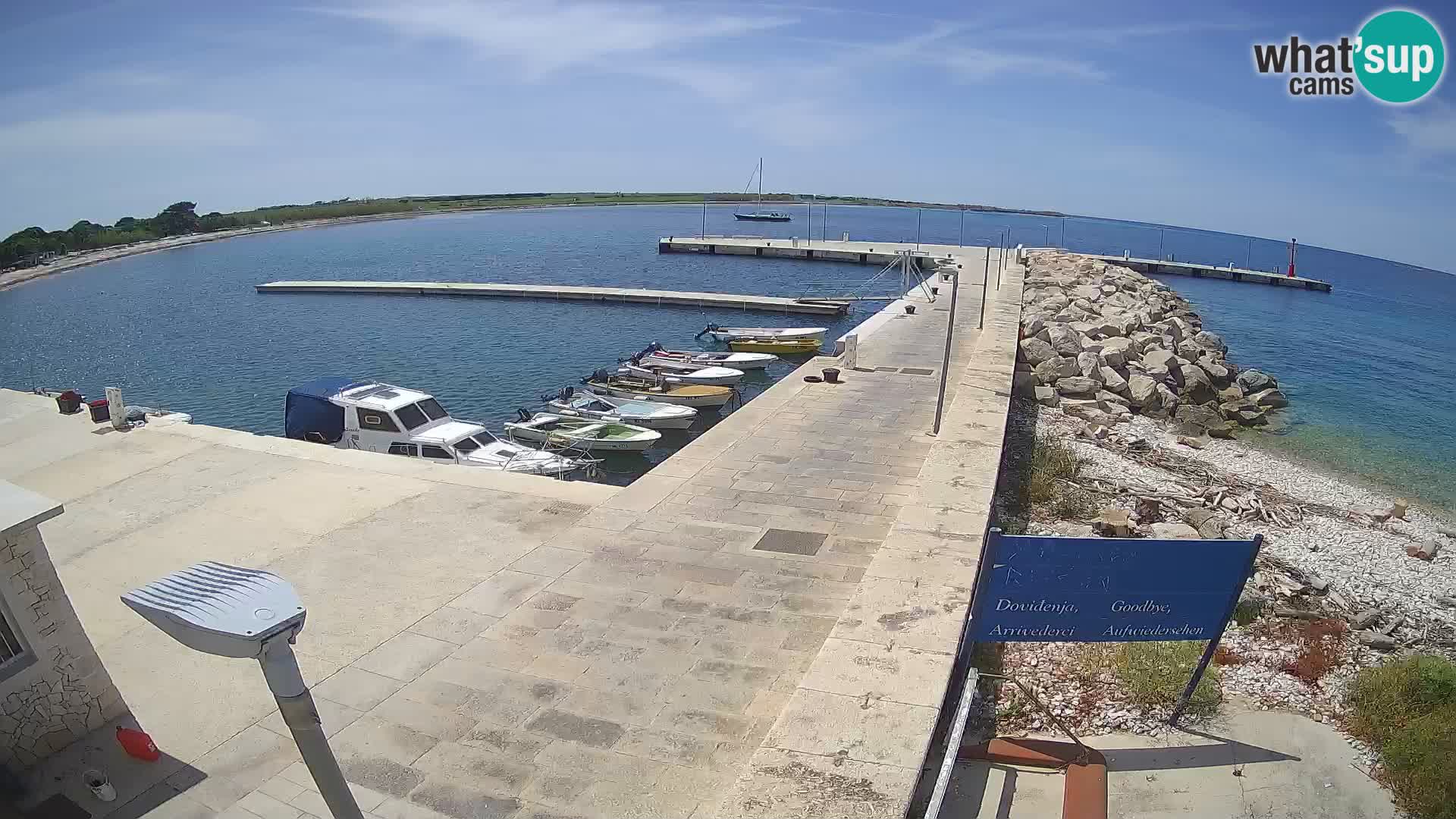 Webcam de l’île d’Unije – Explorez la beauté du joyau caché de la Croatie
