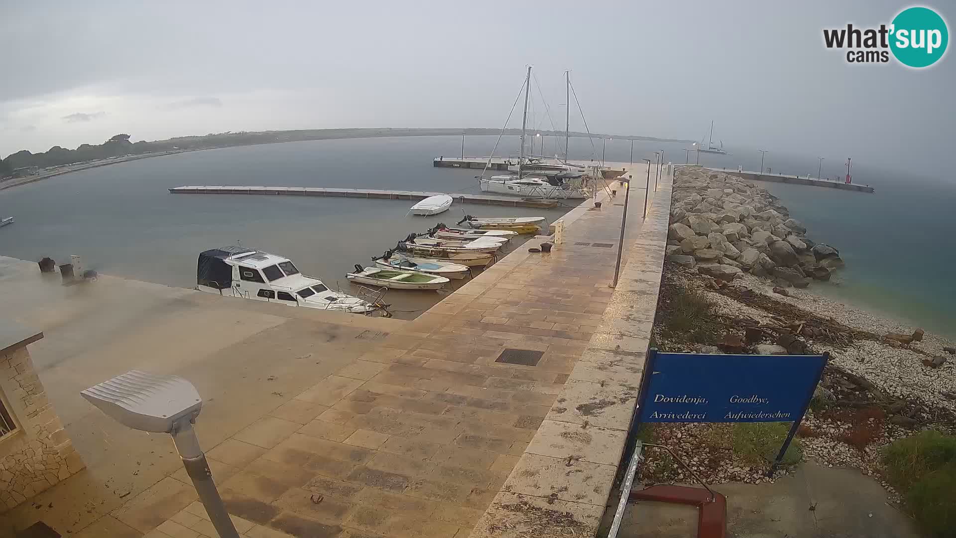 Cámara web de la isla de Unije: explore la belleza de la joya escondida de Croacia