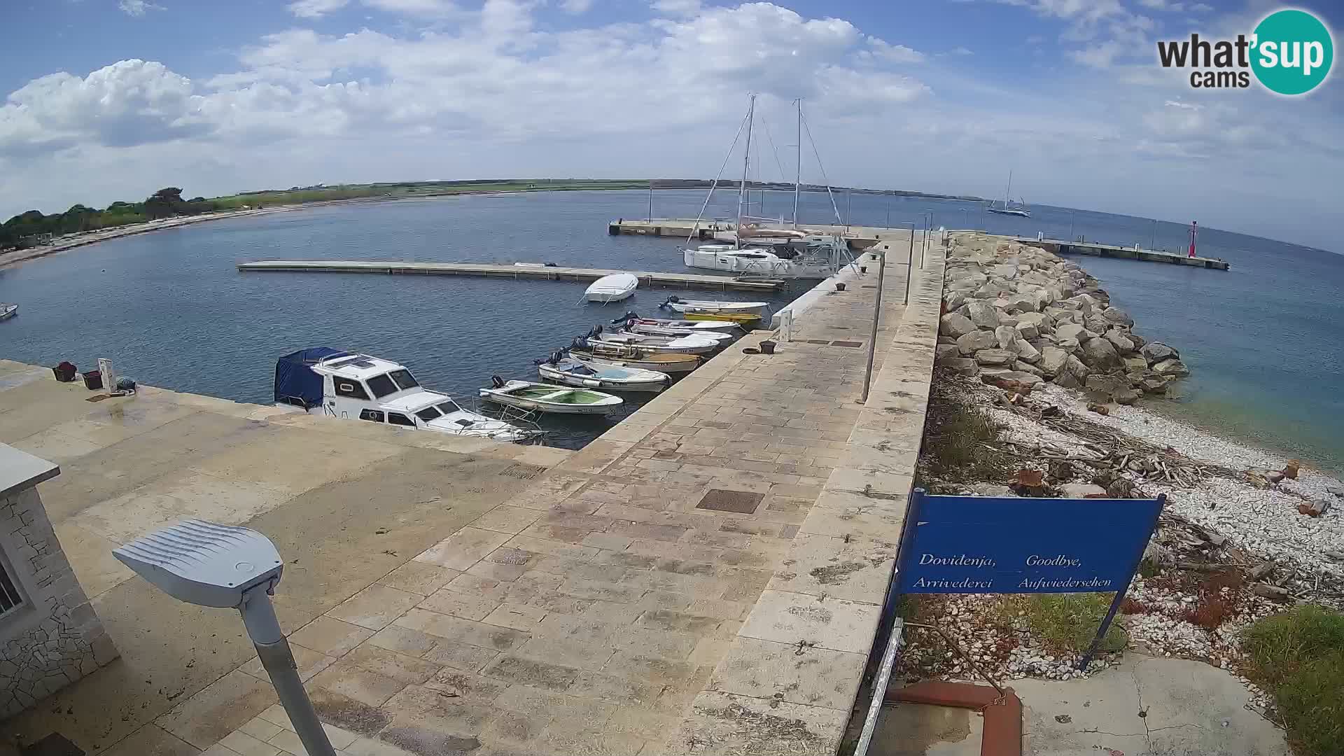 Cámara web de la isla de Unije: explore la belleza de la joya escondida de Croacia