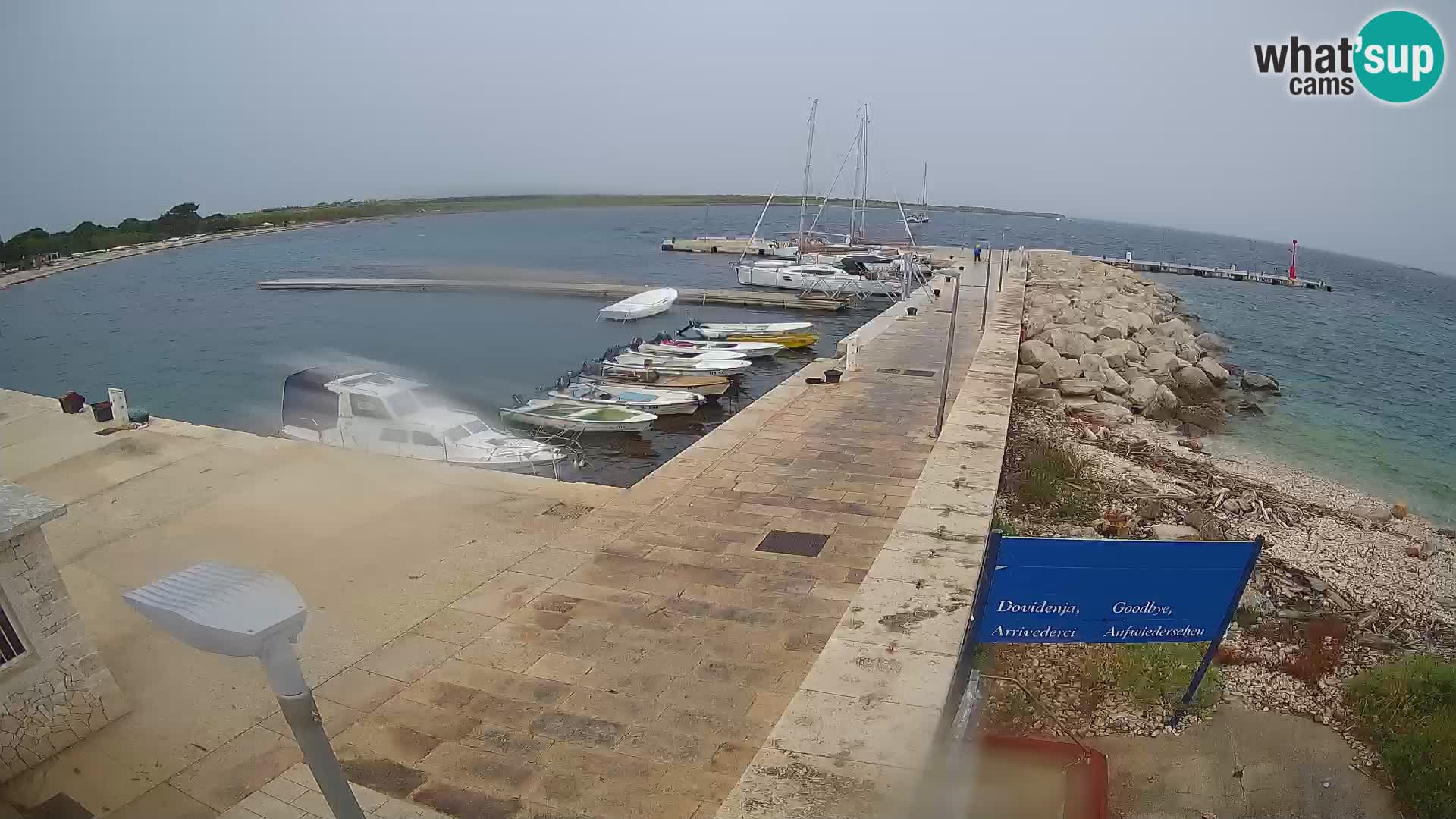 Cámara web de la isla de Unije: explore la belleza de la joya escondida de Croacia
