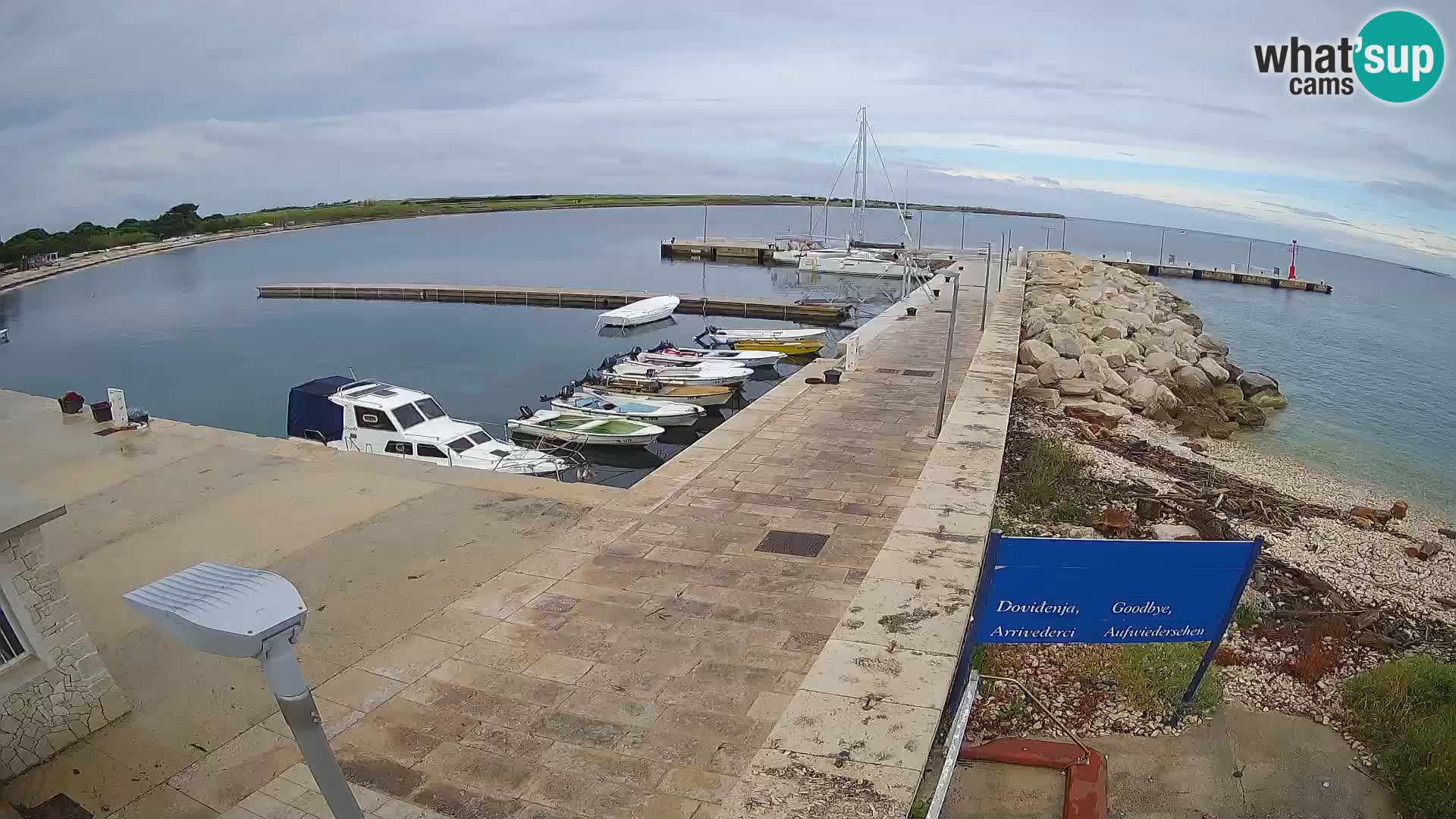 Cámara web de la isla de Unije: explore la belleza de la joya escondida de Croacia