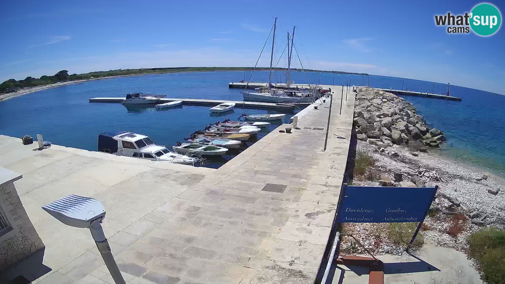 Webcam Isola di Unije – Esplora la bellezza della gemma nascosta della Croazia