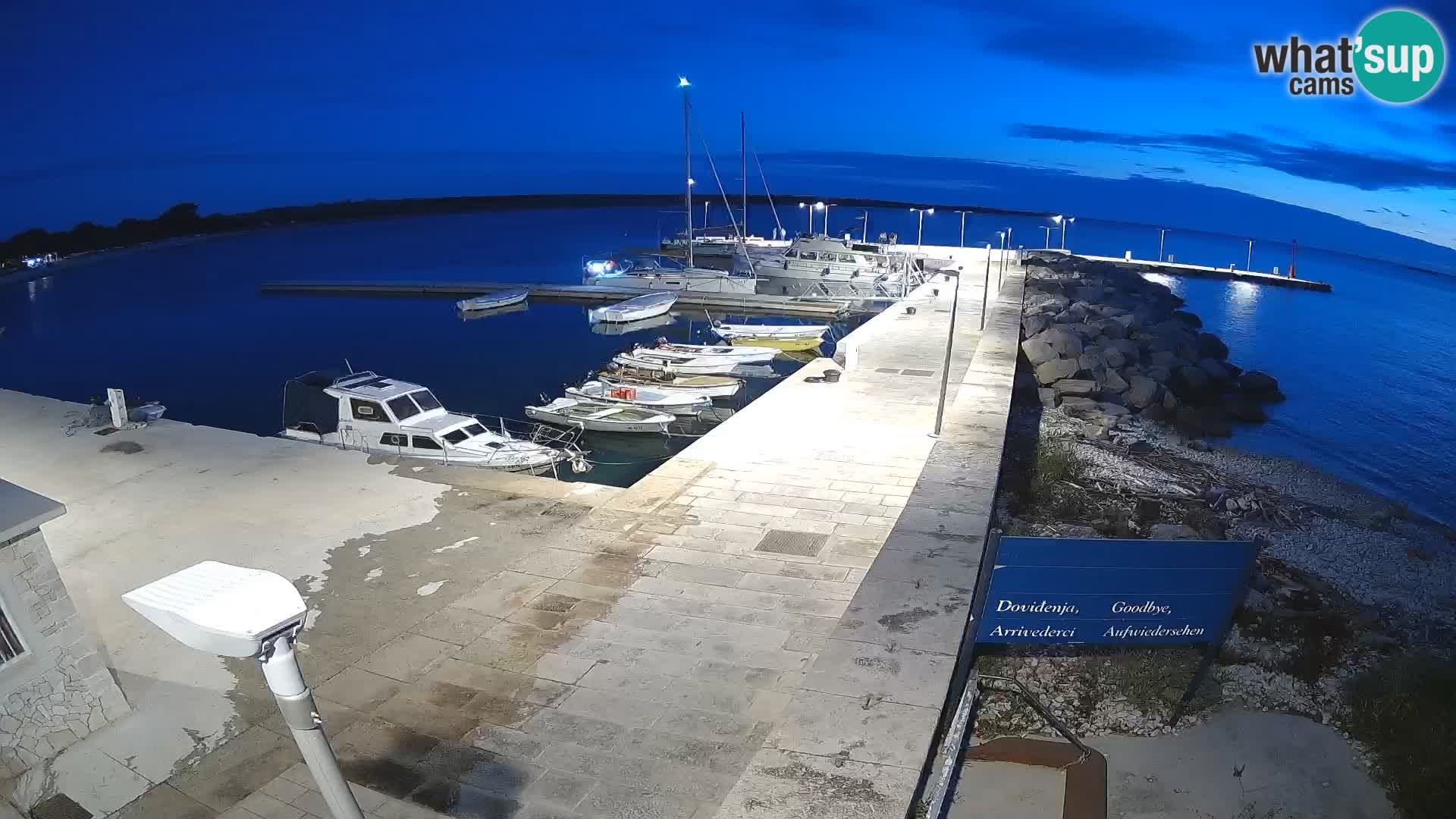 Webcam Isola di Unije – Esplora la bellezza della gemma nascosta della Croazia