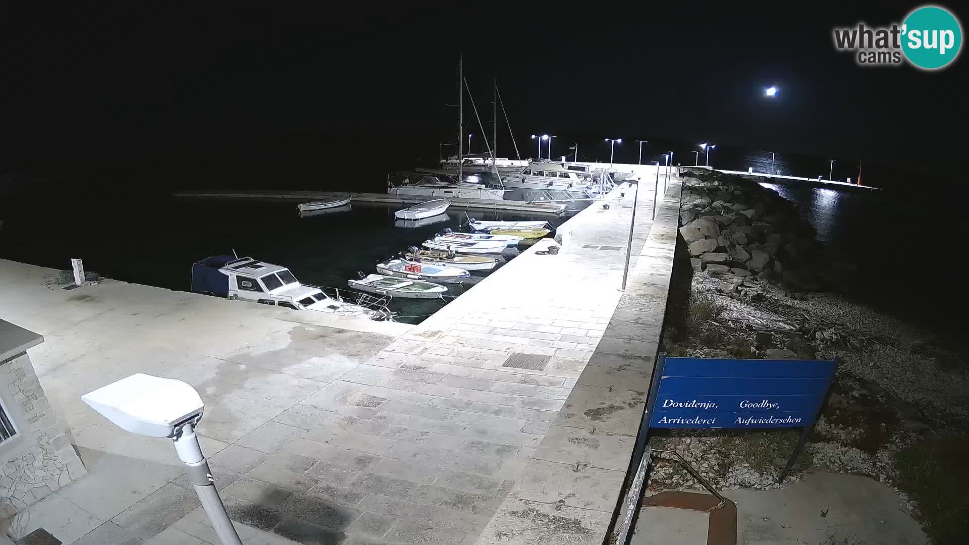 Cámara web de la isla de Unije: explore la belleza de la joya escondida de Croacia