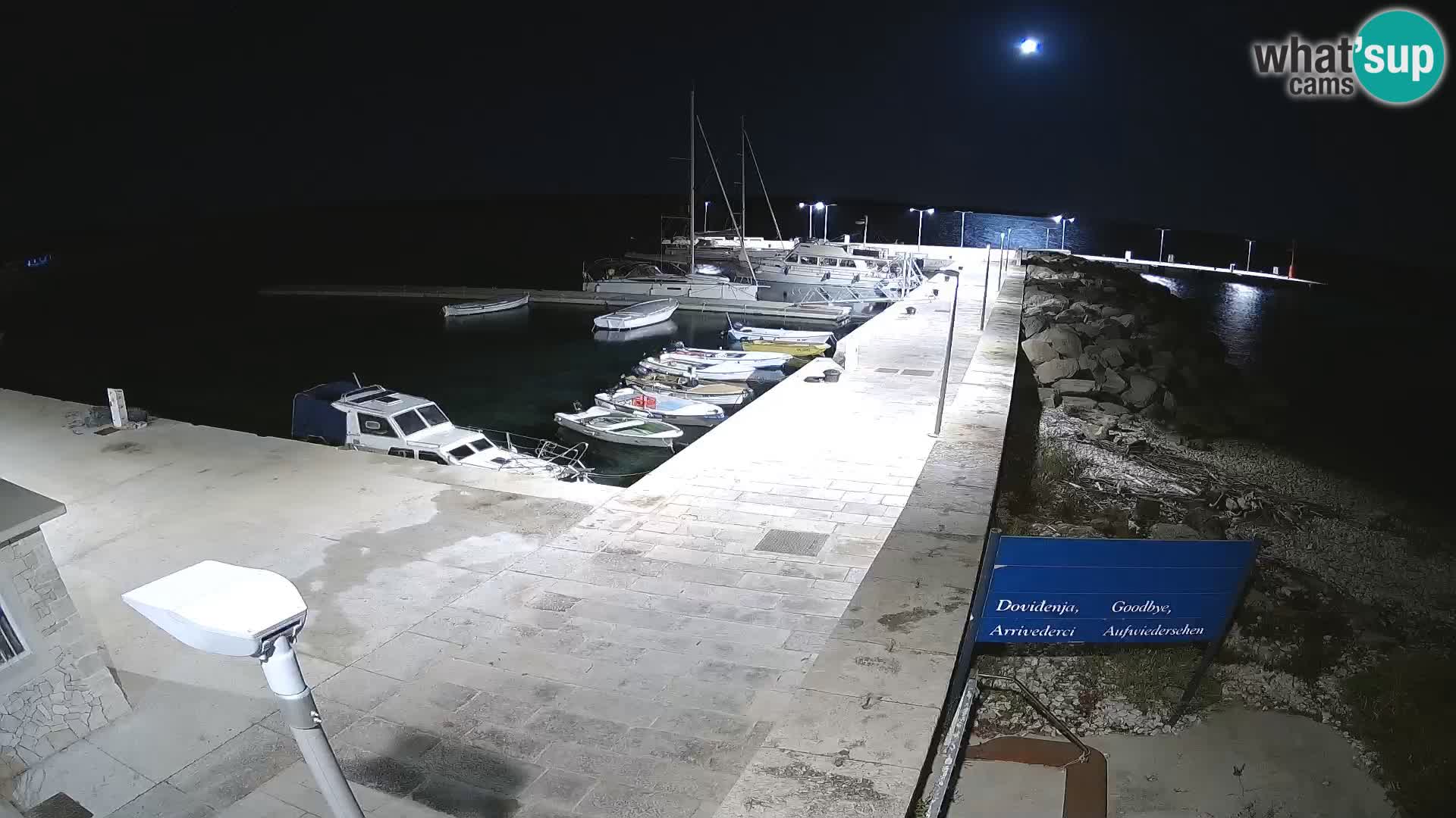 Insel Unije Webcam – Entdecken Sie die Schönheit von Kroatiens verstecktem Juwel