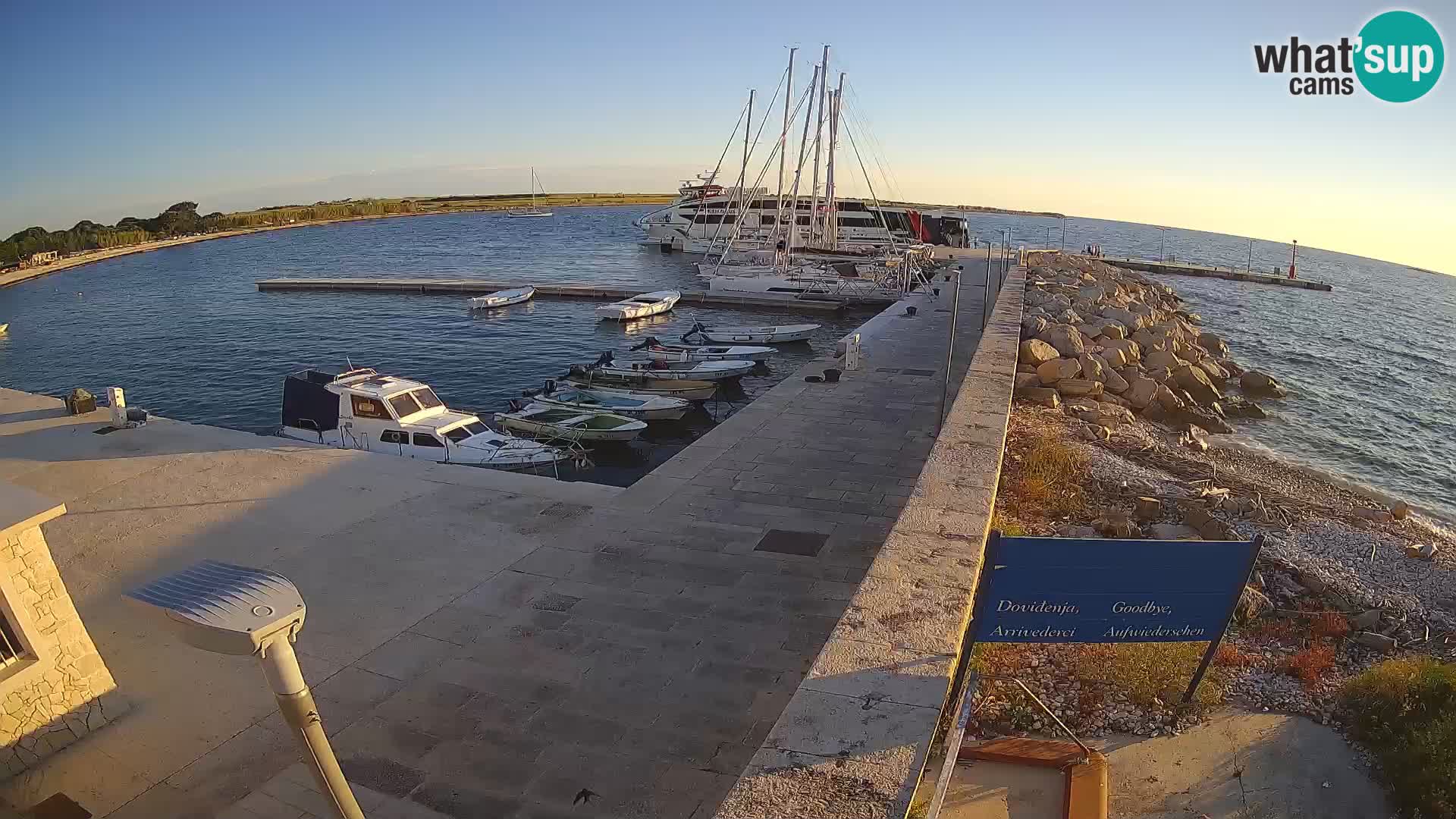 Cámara web de la isla de Unije: explore la belleza de la joya escondida de Croacia