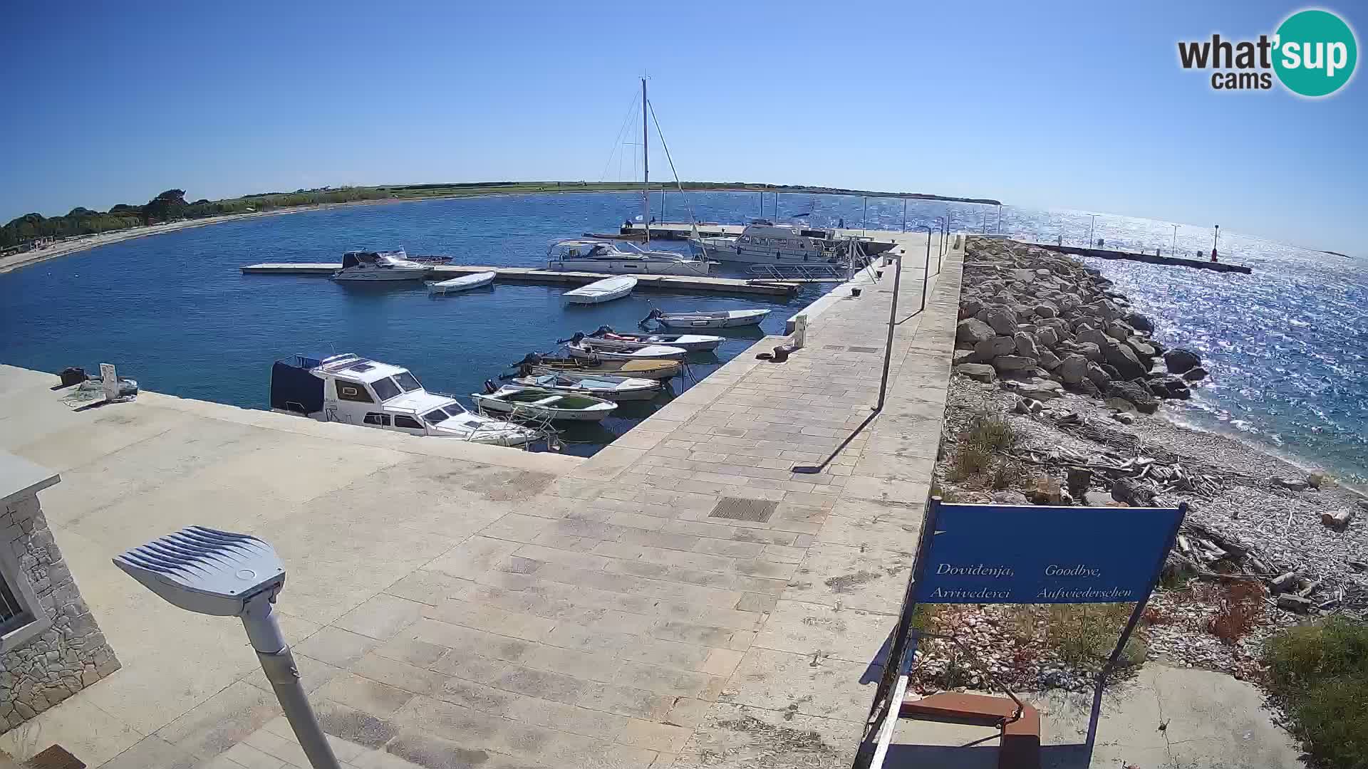 Cámara web de la isla de Unije: explore la belleza de la joya escondida de Croacia