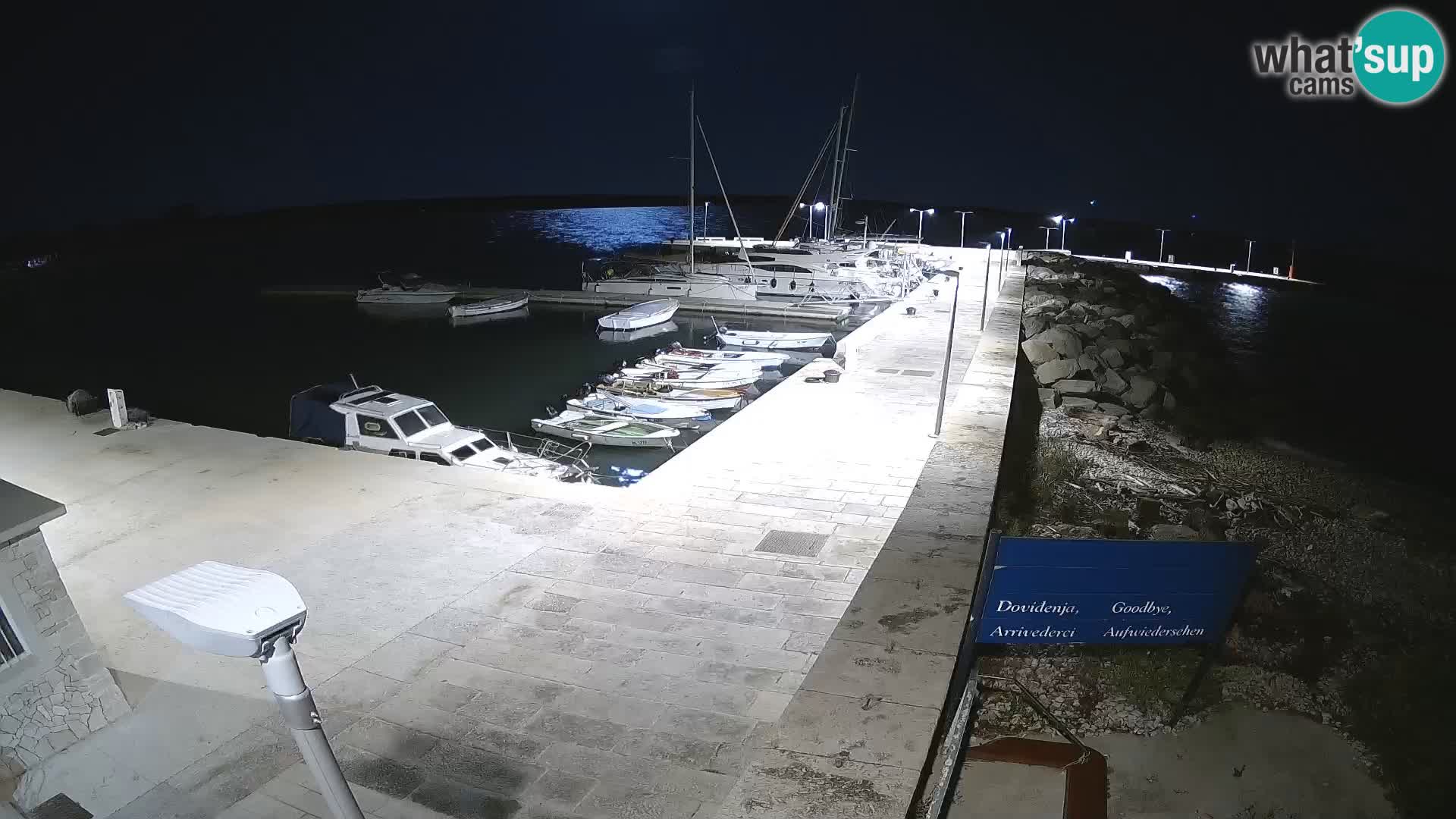 Webcam Isola di Unije – Esplora la bellezza della gemma nascosta della Croazia