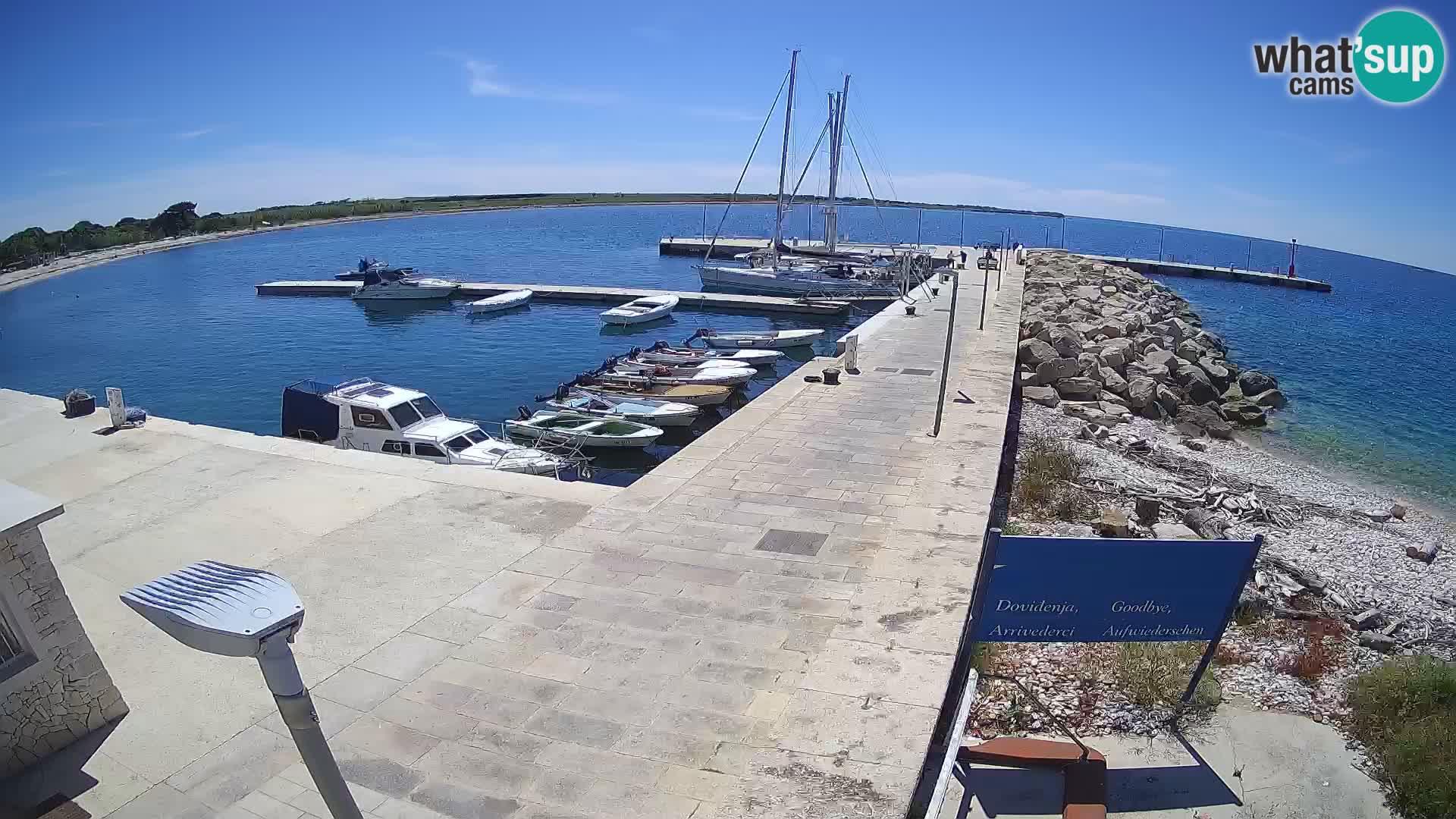Cámara web de la isla de Unije: explore la belleza de la joya escondida de Croacia