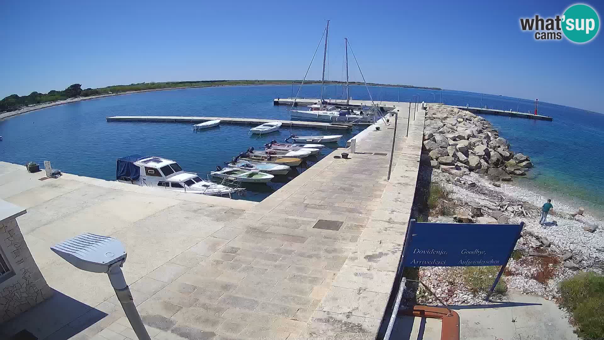 Cámara web de la isla de Unije: explore la belleza de la joya escondida de Croacia