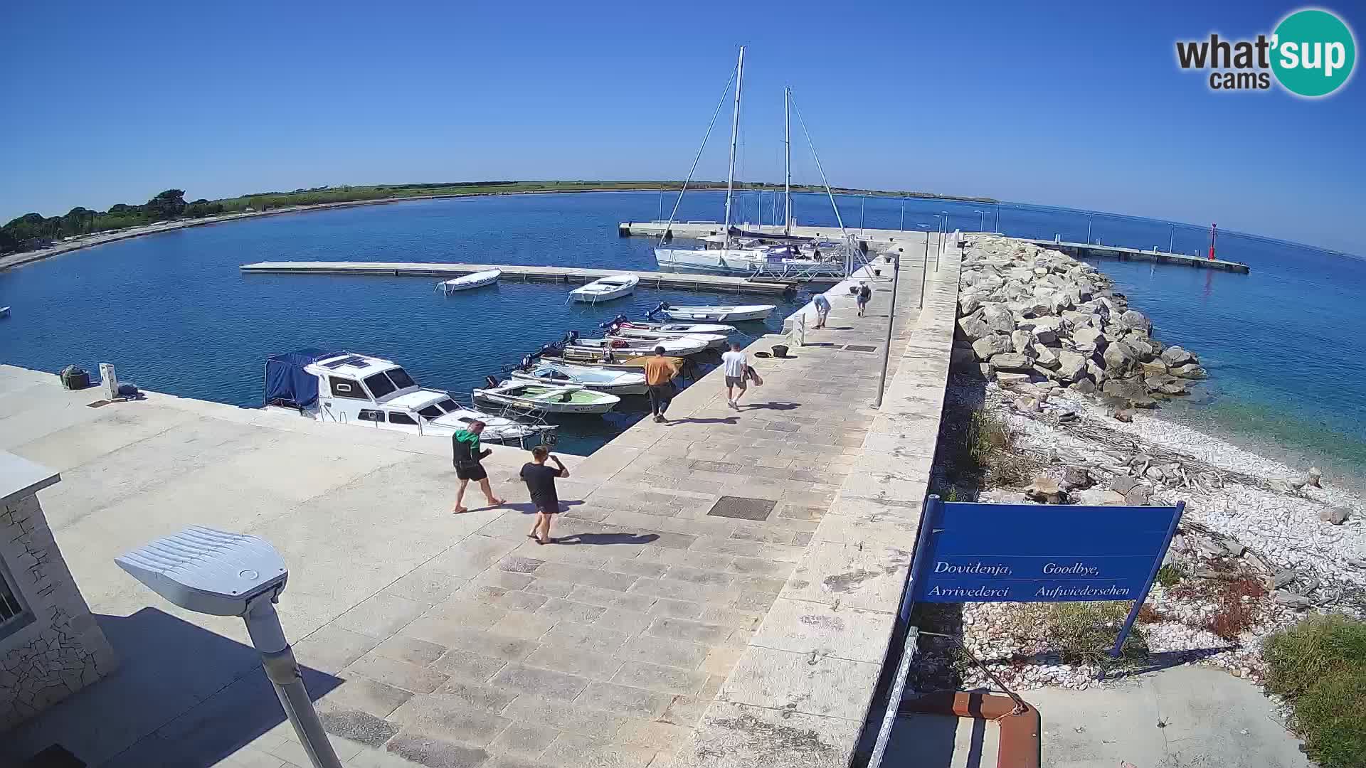 Cámara web de la isla de Unije: explore la belleza de la joya escondida de Croacia