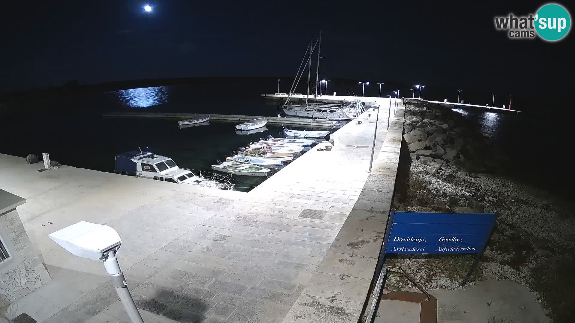 Webcam Isola di Unije – Esplora la bellezza della gemma nascosta della Croazia