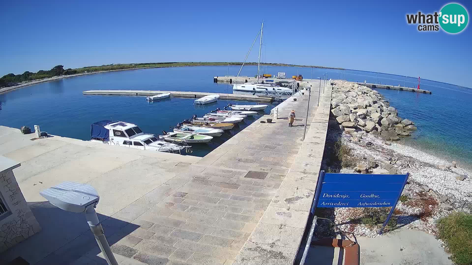 Webcam Isola di Unije – Esplora la bellezza della gemma nascosta della Croazia