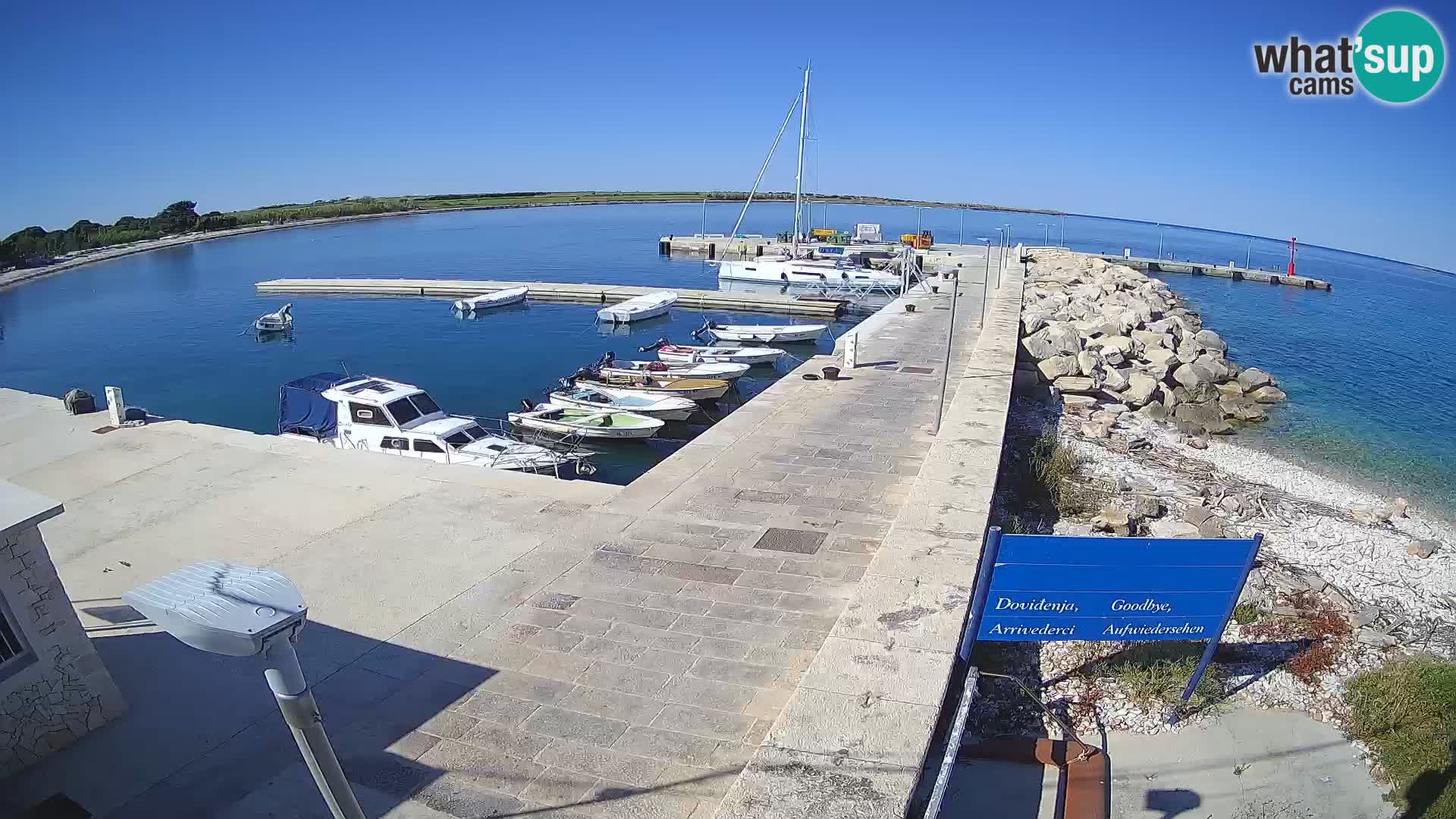 Webcam Isola di Unije – Esplora la bellezza della gemma nascosta della Croazia
