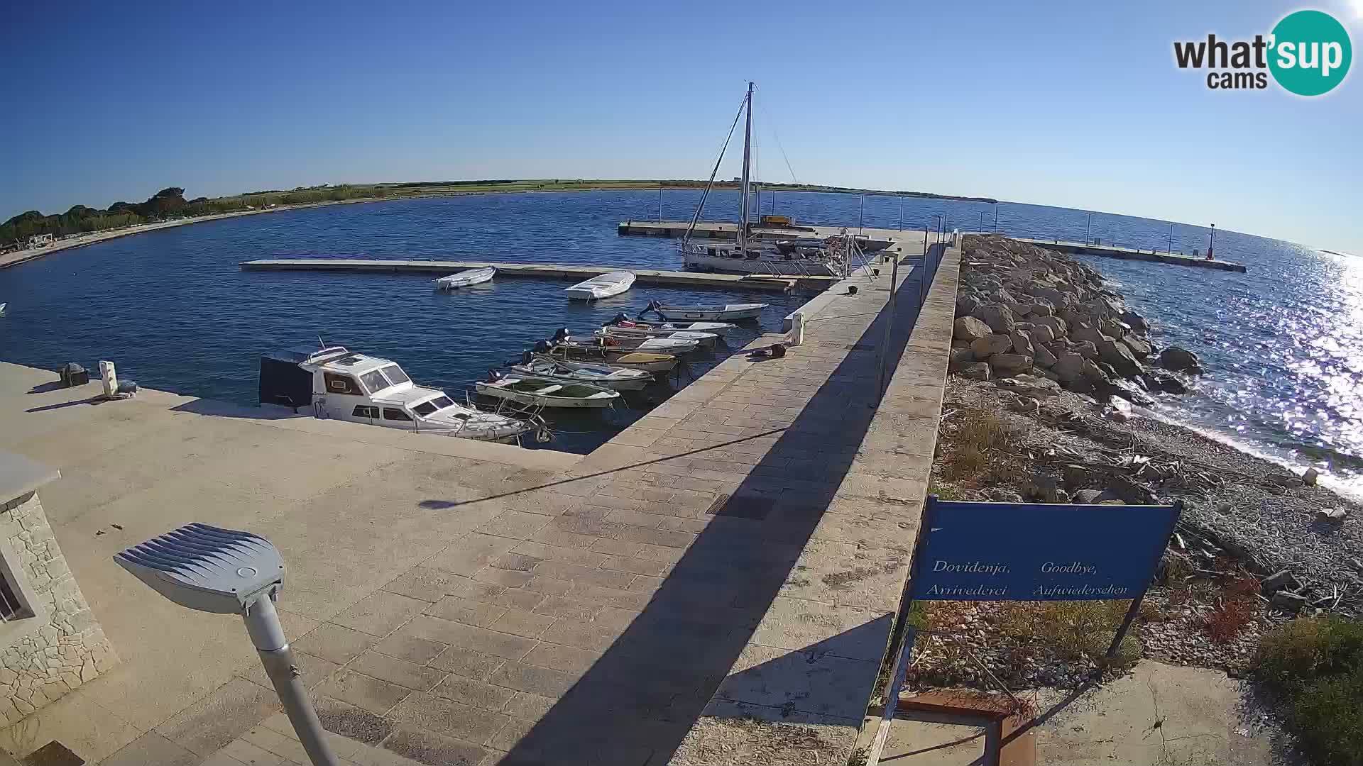 Cámara web de la isla de Unije: explore la belleza de la joya escondida de Croacia