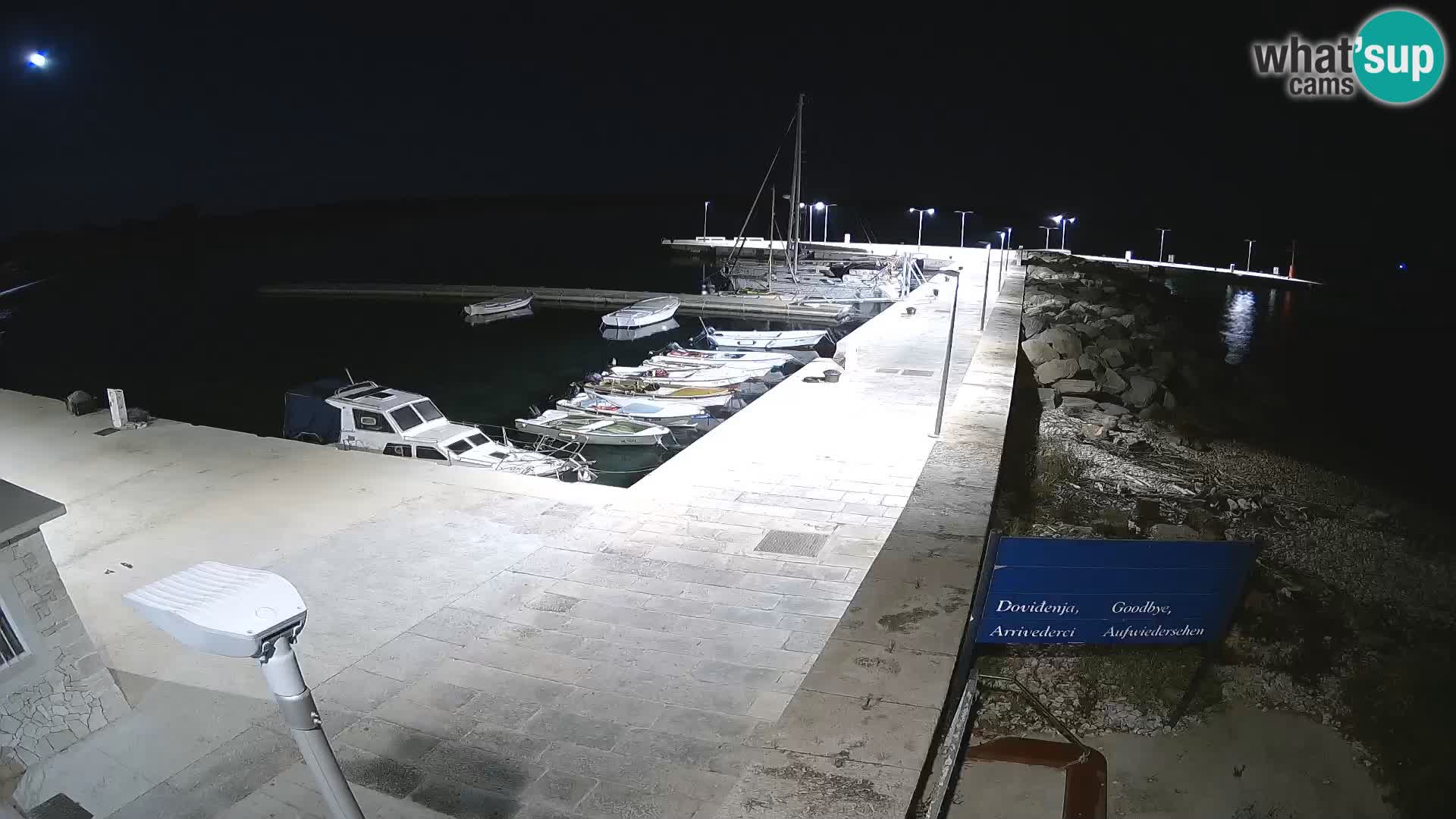 Webcam Isola di Unije – Esplora la bellezza della gemma nascosta della Croazia