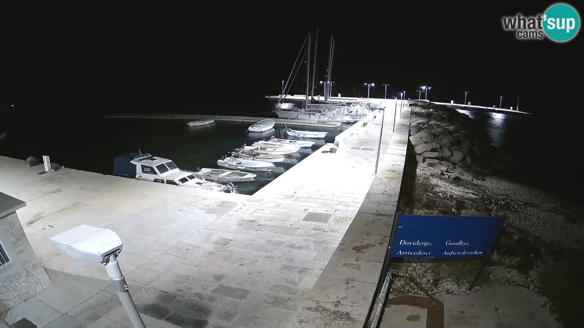 Unije Island Webcam – Explore the Beauty of Croatia’s Hidden Gem