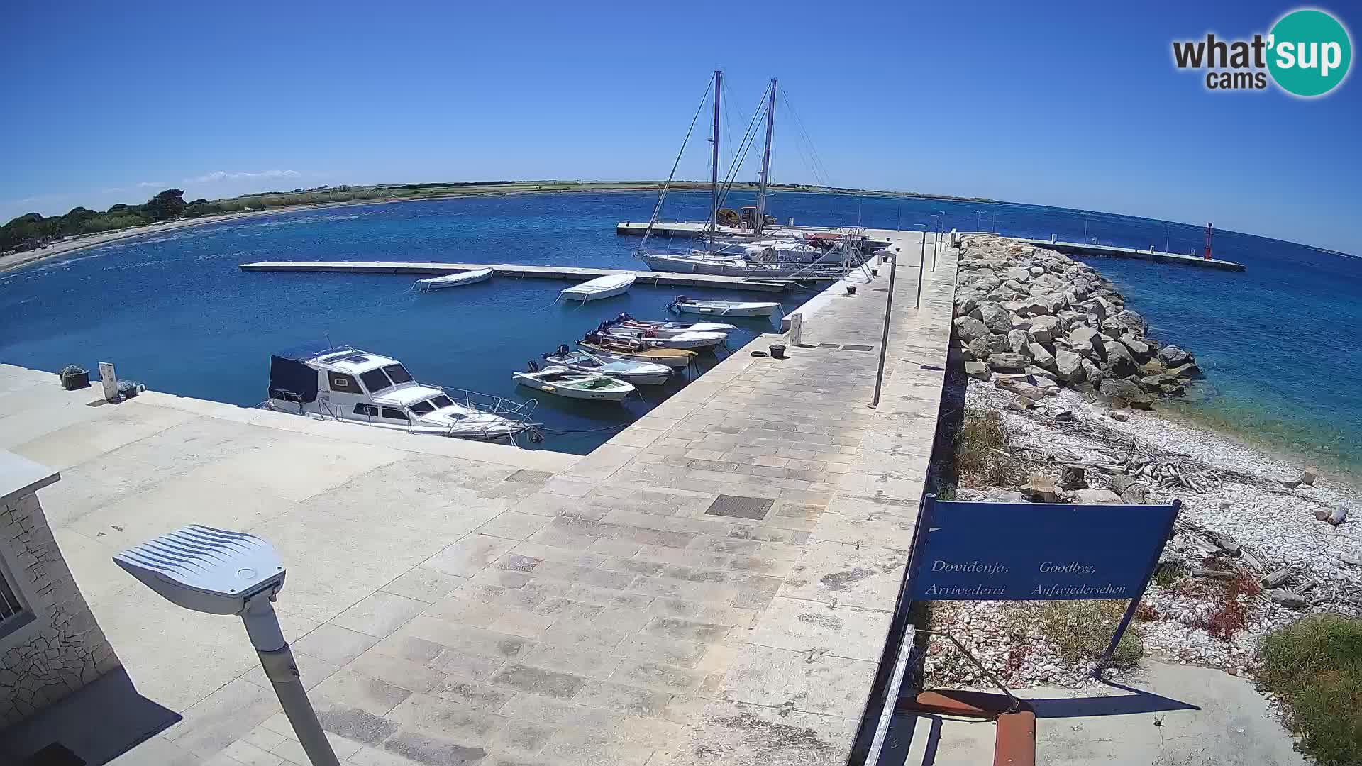 Webcam Isola di Unije – Esplora la bellezza della gemma nascosta della Croazia