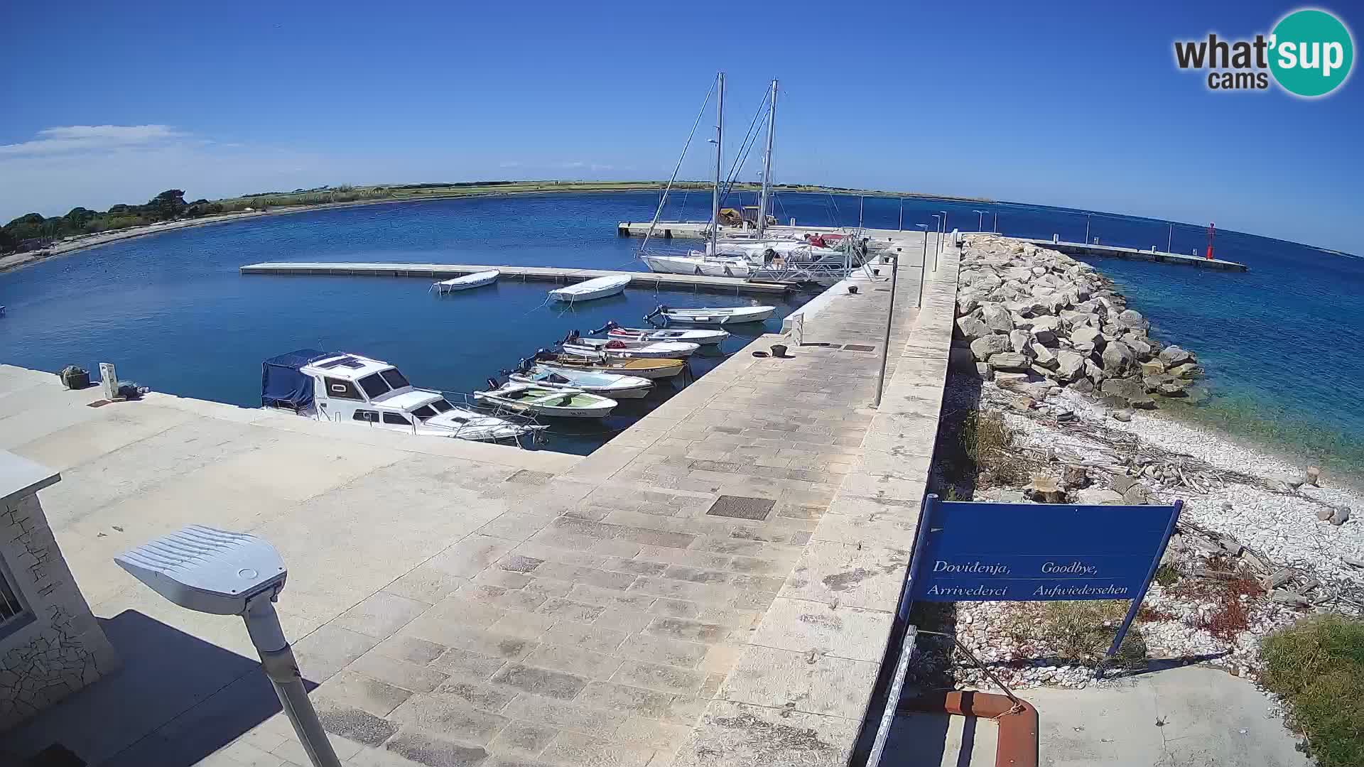 Webcam Isola di Unije – Esplora la bellezza della gemma nascosta della Croazia