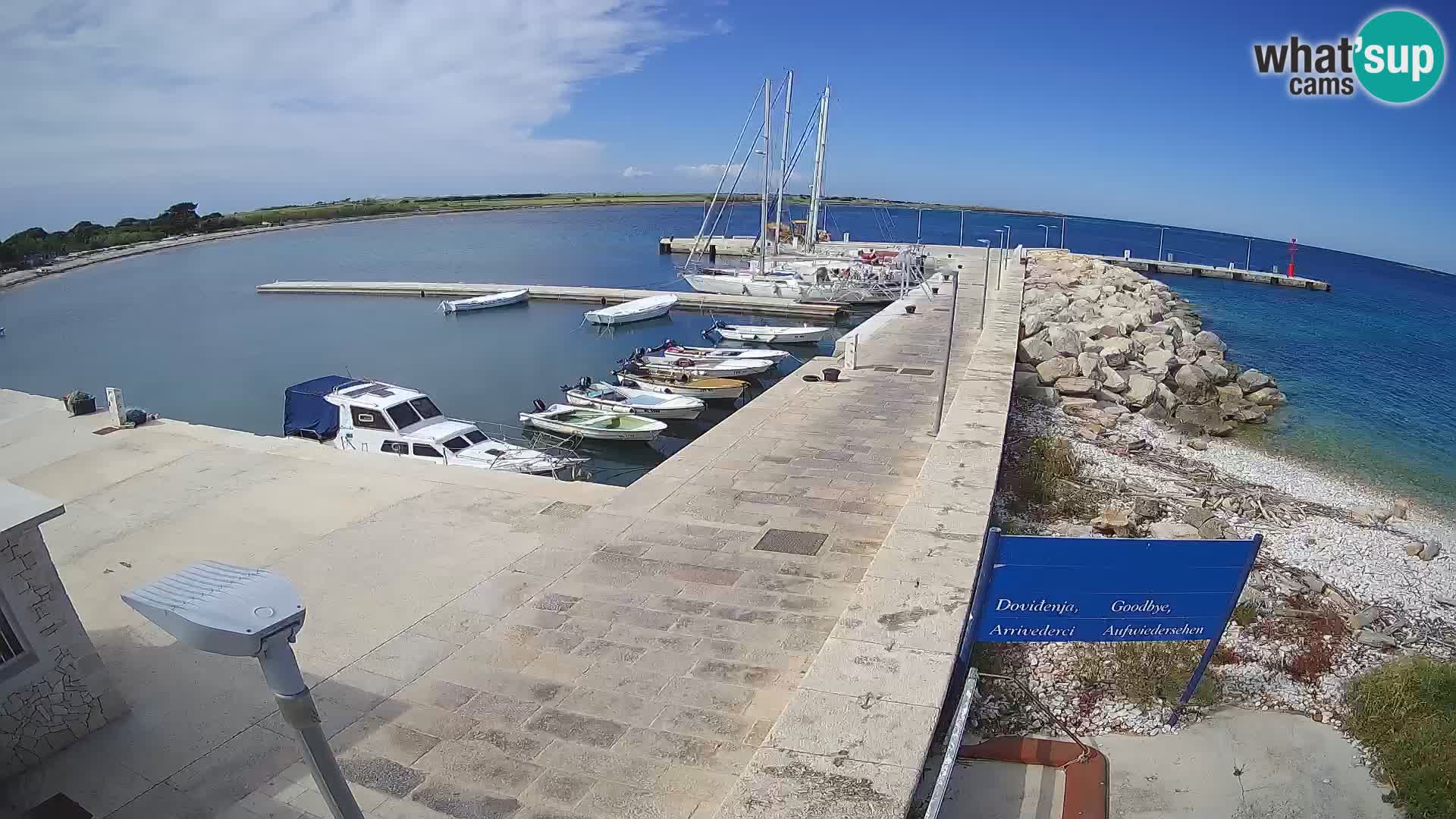 Webcam Isola di Unije – Esplora la bellezza della gemma nascosta della Croazia