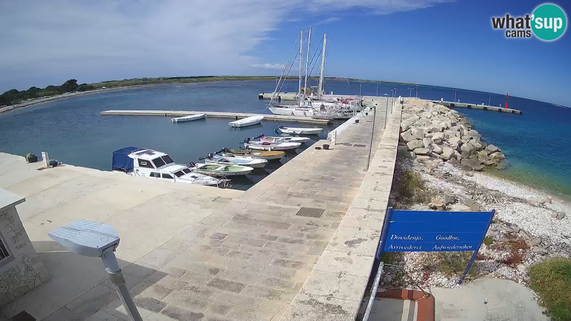 Insel Unije Webcam – Entdecken Sie die Schönheit von Kroatiens verstecktem Juwel