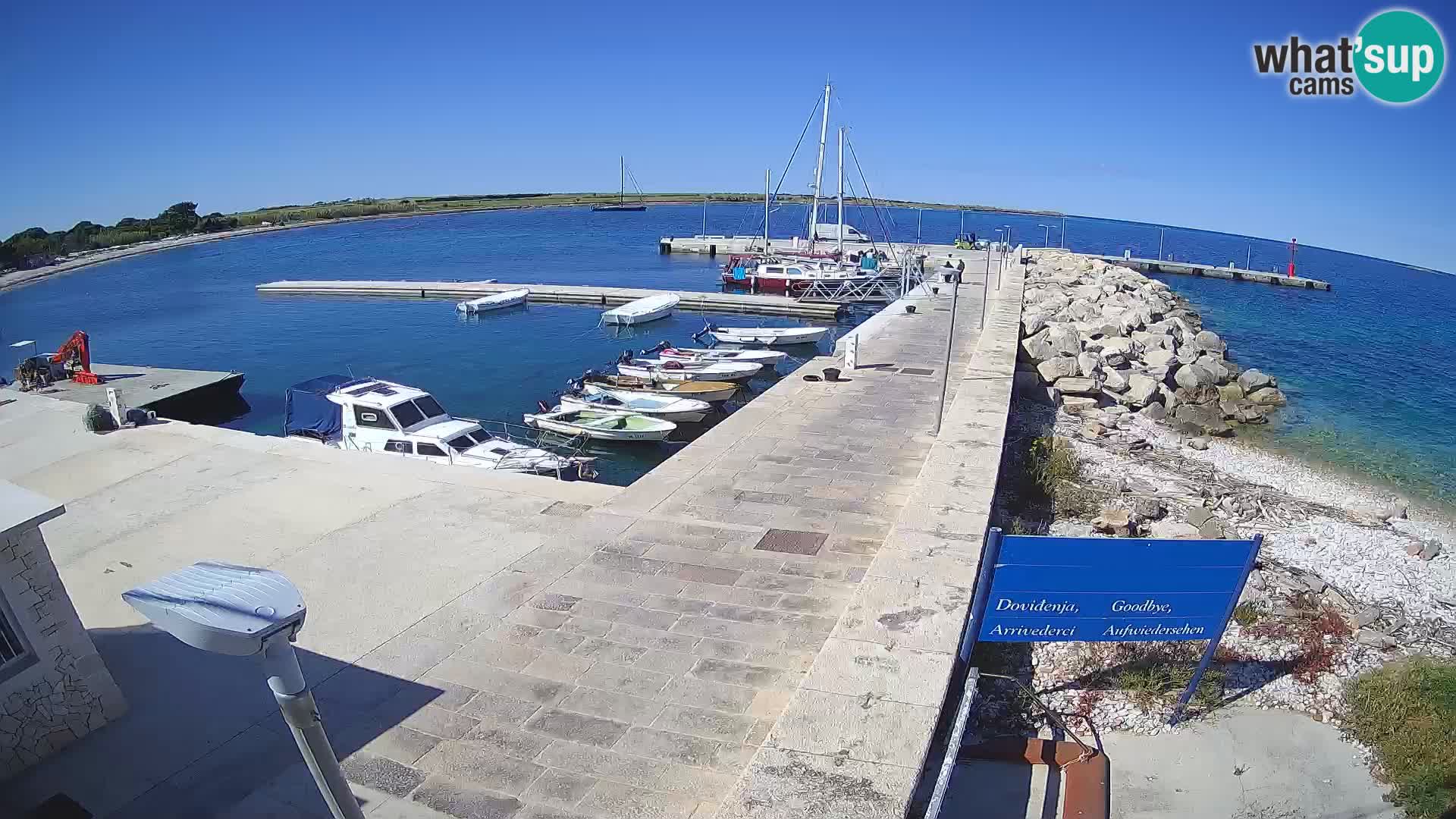 Unije Island Webcam – Explore the Beauty of Croatia’s Hidden Gem