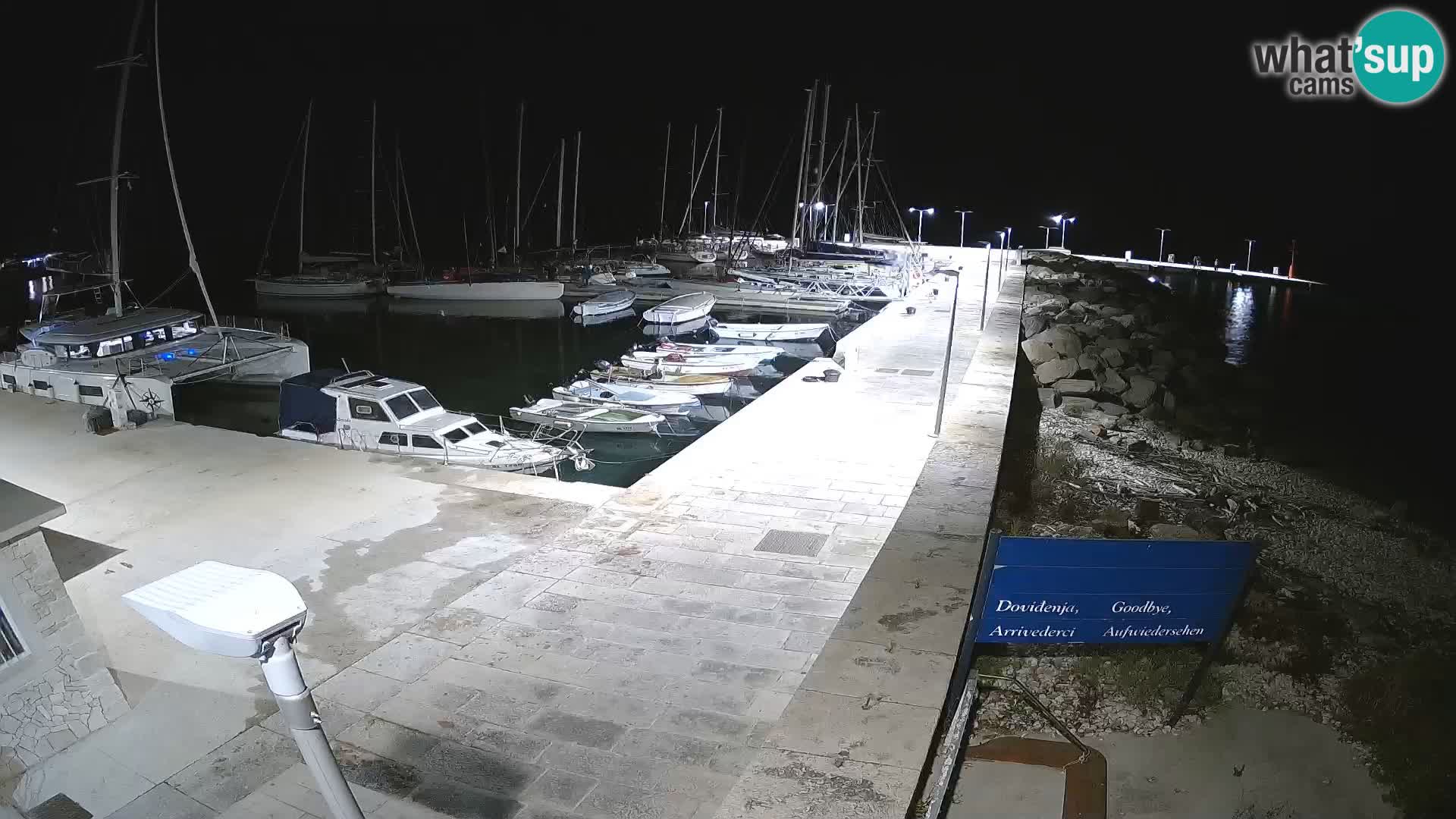Cámara web de la isla de Unije: explore la belleza de la joya escondida de Croacia