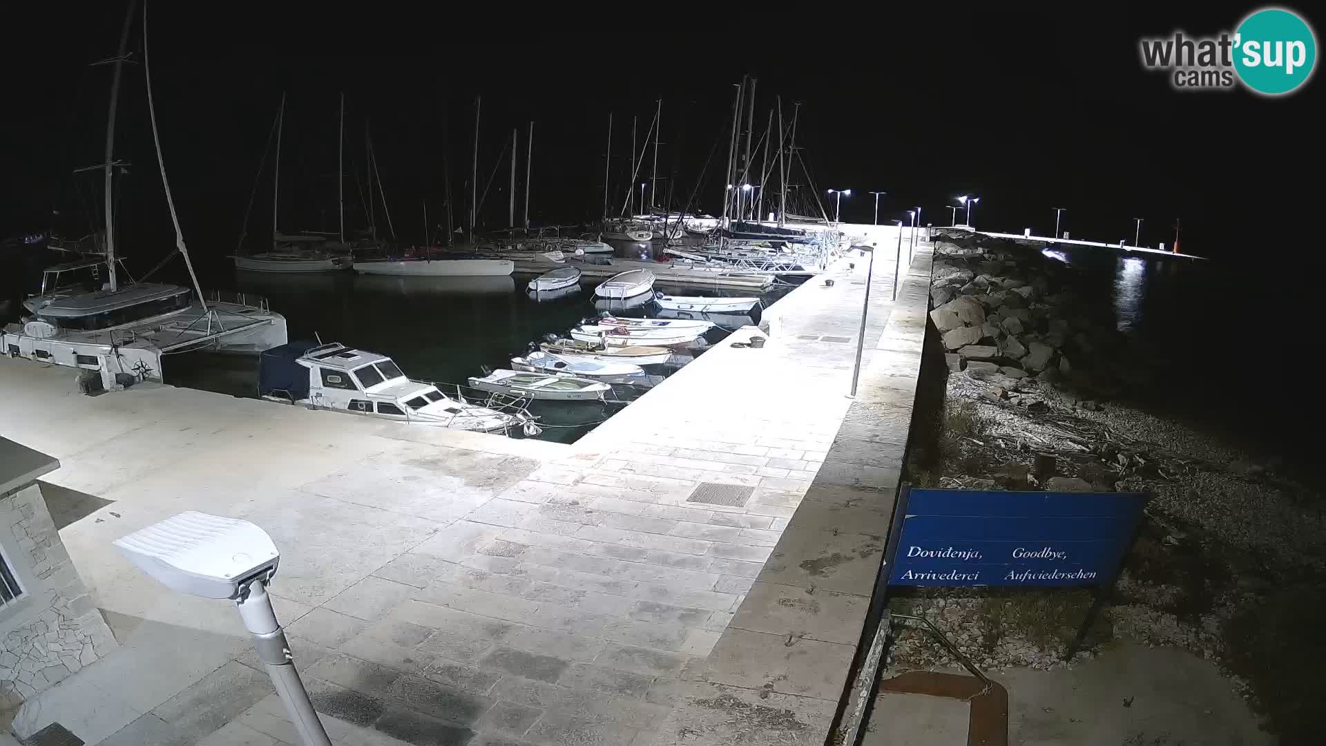 Unije Island Webcam – Explore the Beauty of Croatia’s Hidden Gem