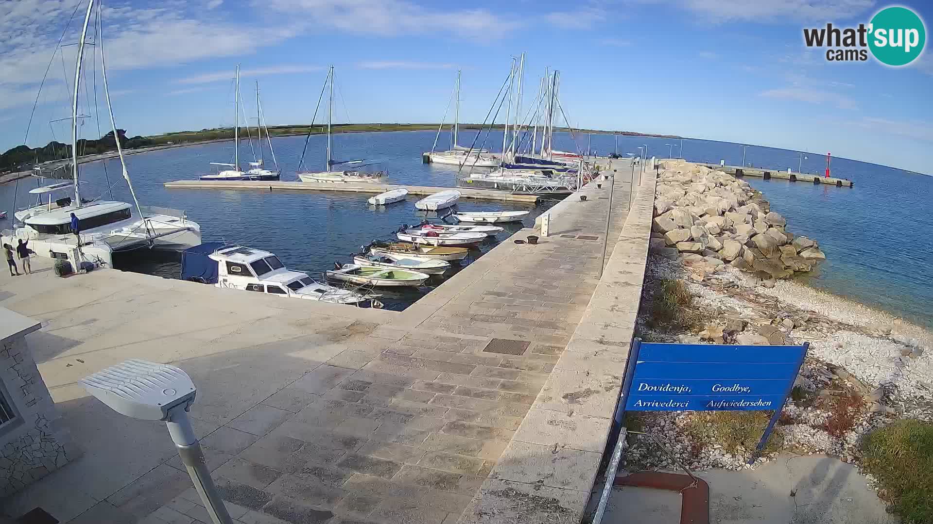 Cámara web de la isla de Unije: explore la belleza de la joya escondida de Croacia