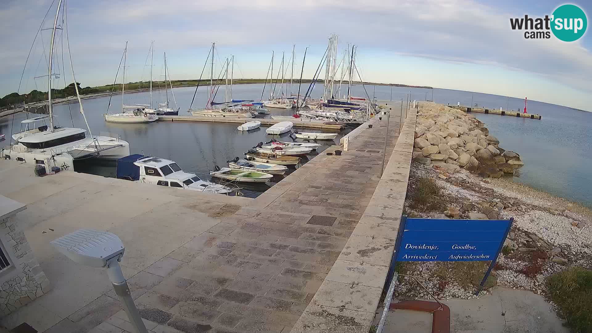 Webcam Isola di Unije – Esplora la bellezza della gemma nascosta della Croazia