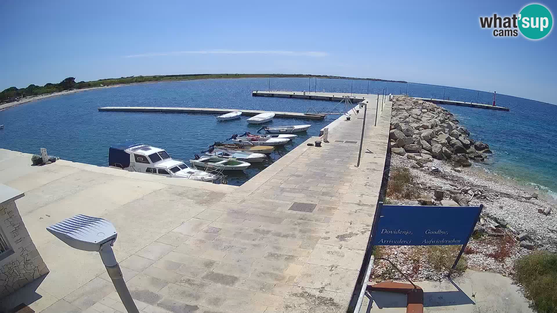 Cámara web de la isla de Unije: explore la belleza de la joya escondida de Croacia