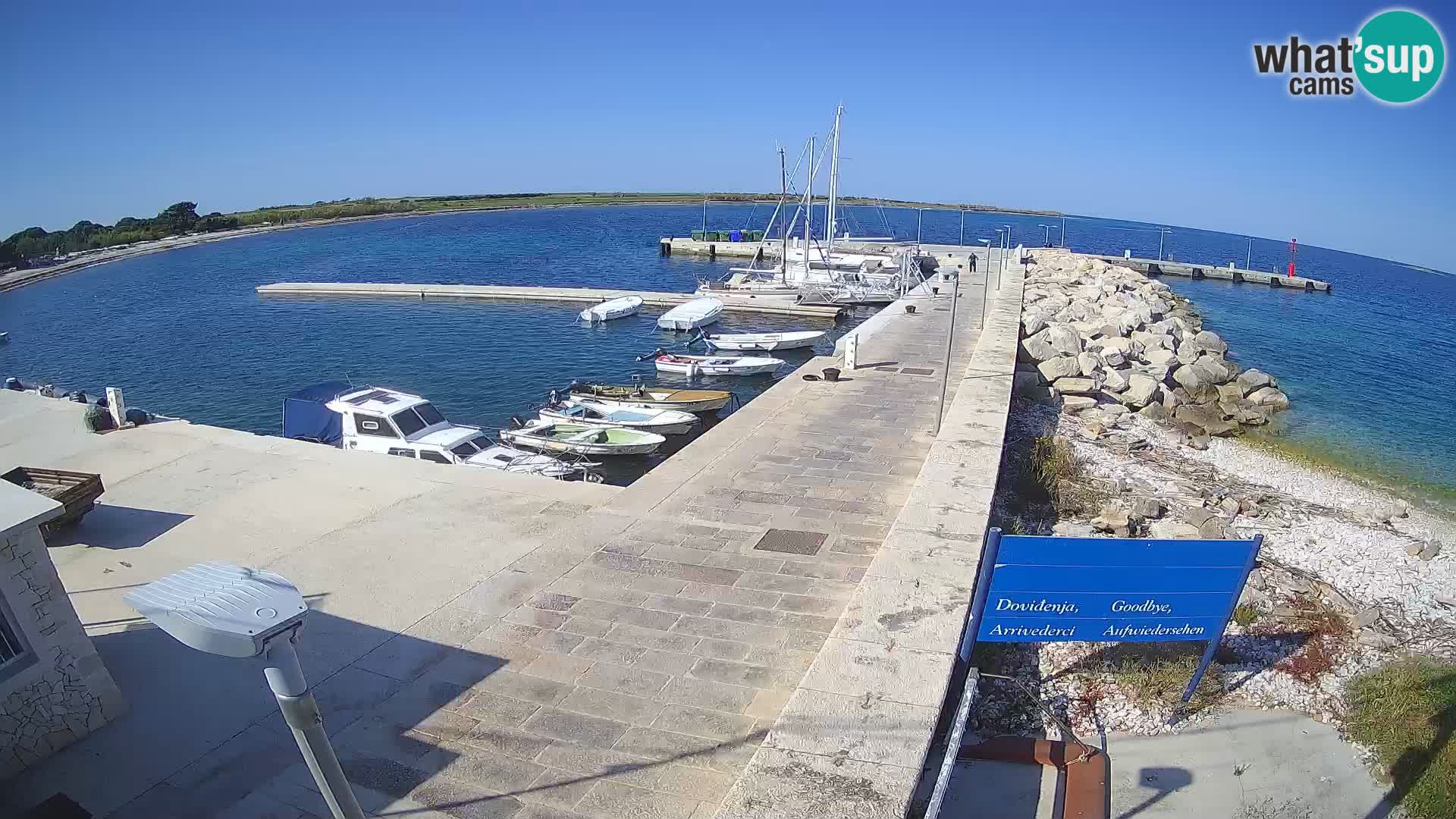 Webcam Isola di Unije – Esplora la bellezza della gemma nascosta della Croazia