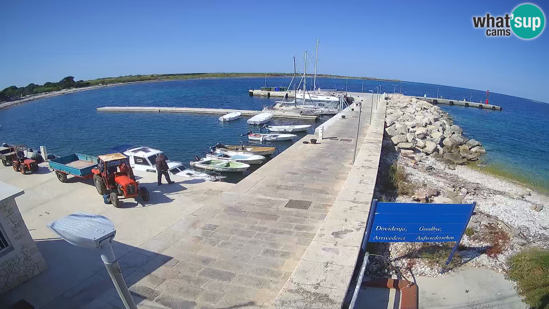 Webcam de l’île d’Unije – Explorez la beauté du joyau caché de la Croatie