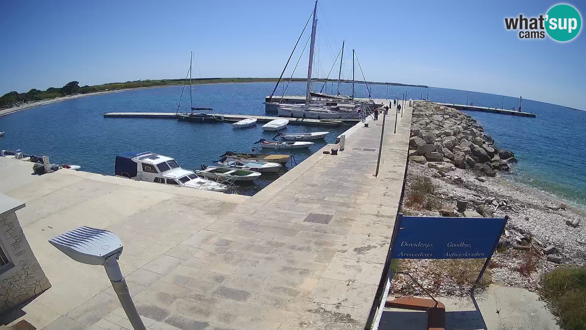 Cámara web de la isla de Unije: explore la belleza de la joya escondida de Croacia