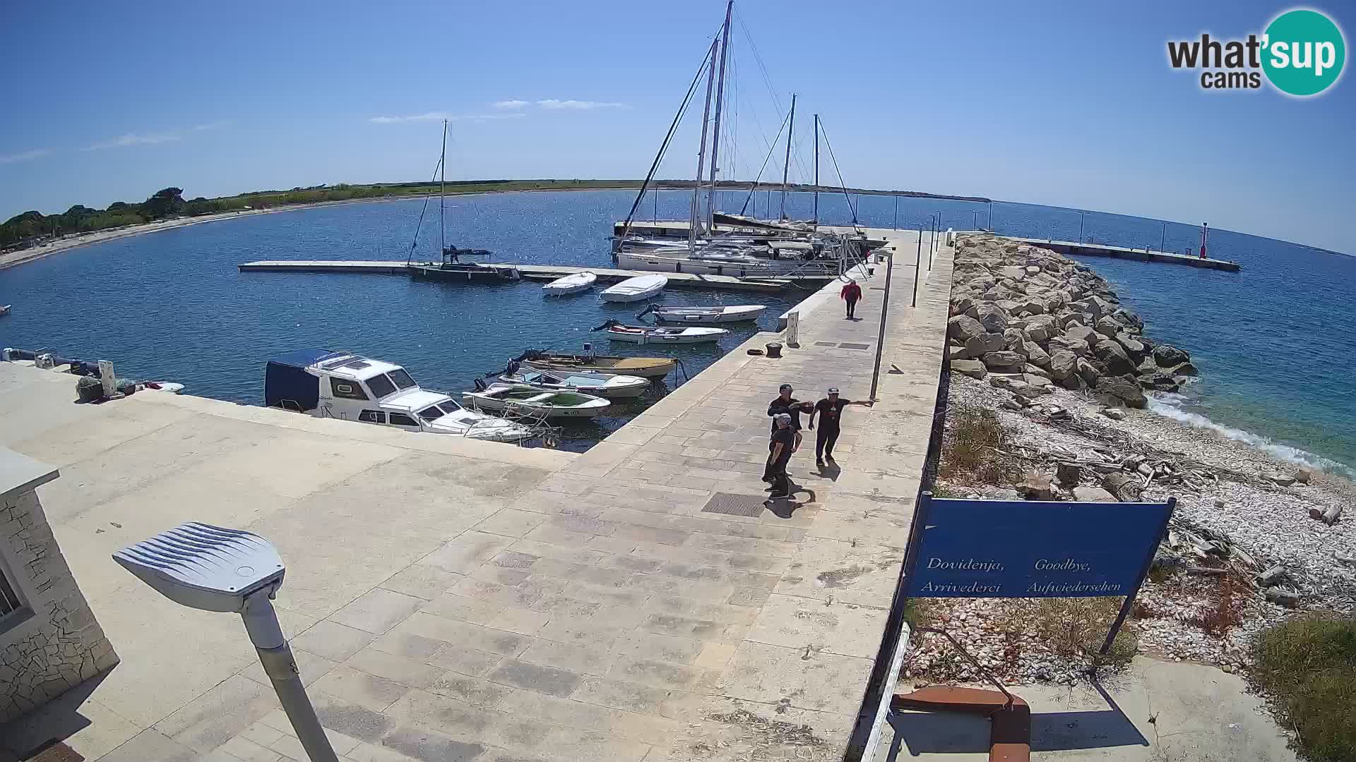 Cámara web de la isla de Unije: explore la belleza de la joya escondida de Croacia