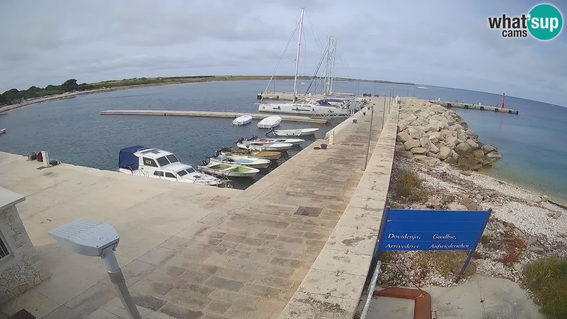 Cámara web de la isla de Unije: explore la belleza de la joya escondida de Croacia