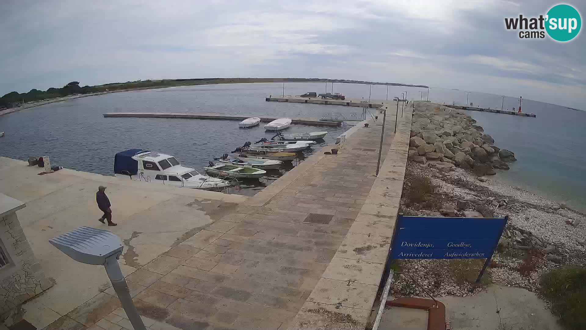 Cámara web de la isla de Unije: explore la belleza de la joya escondida de Croacia