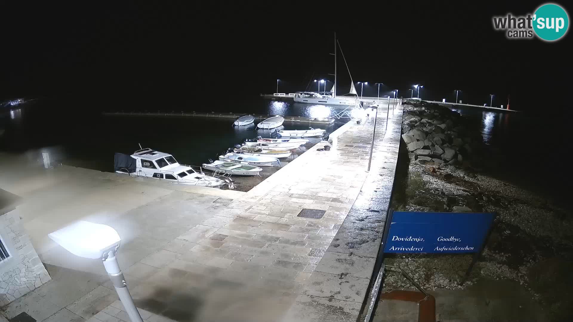 Cámara web de la isla de Unije: explore la belleza de la joya escondida de Croacia