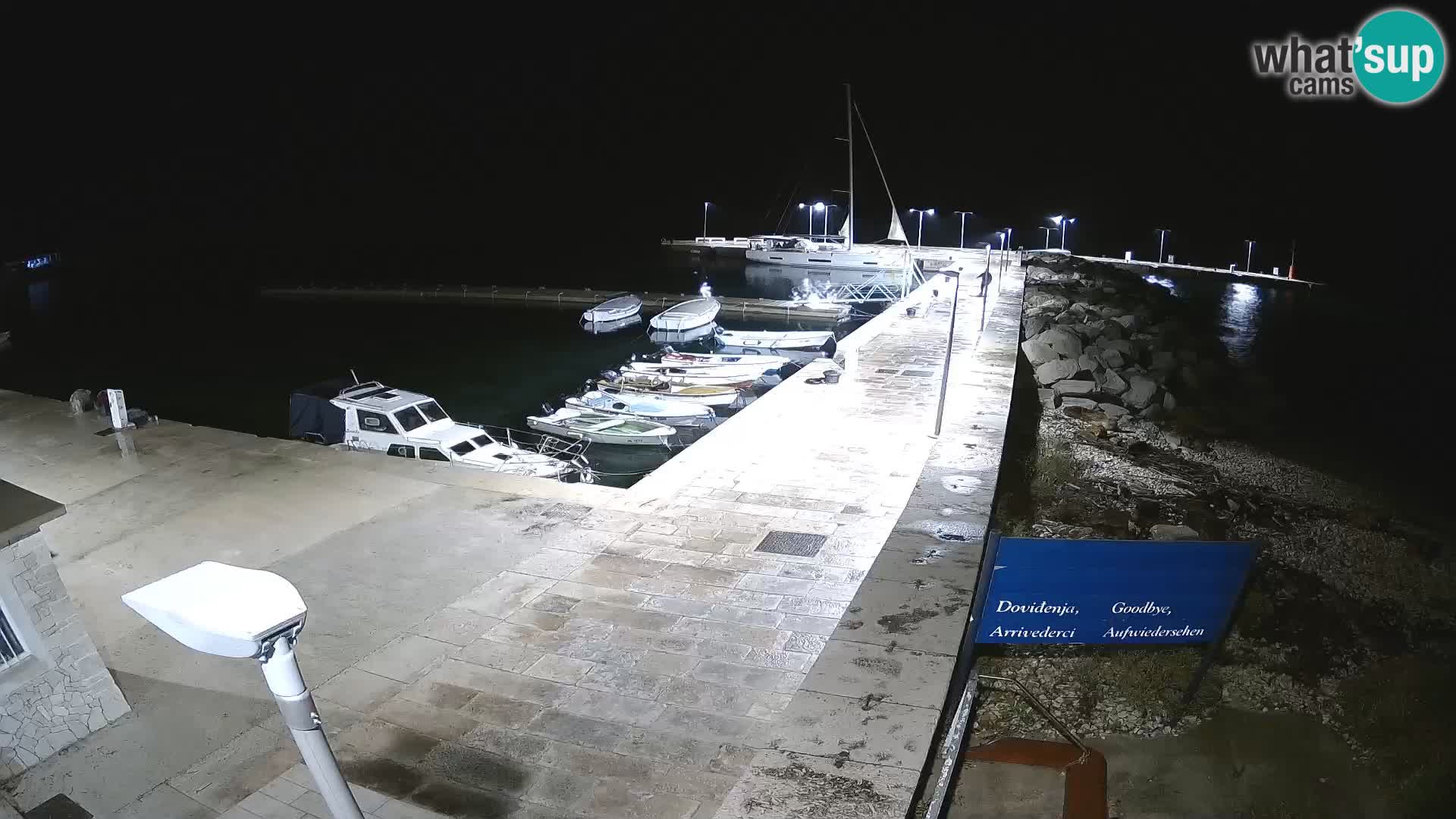Webcam de l’île d’Unije – Explorez la beauté du joyau caché de la Croatie