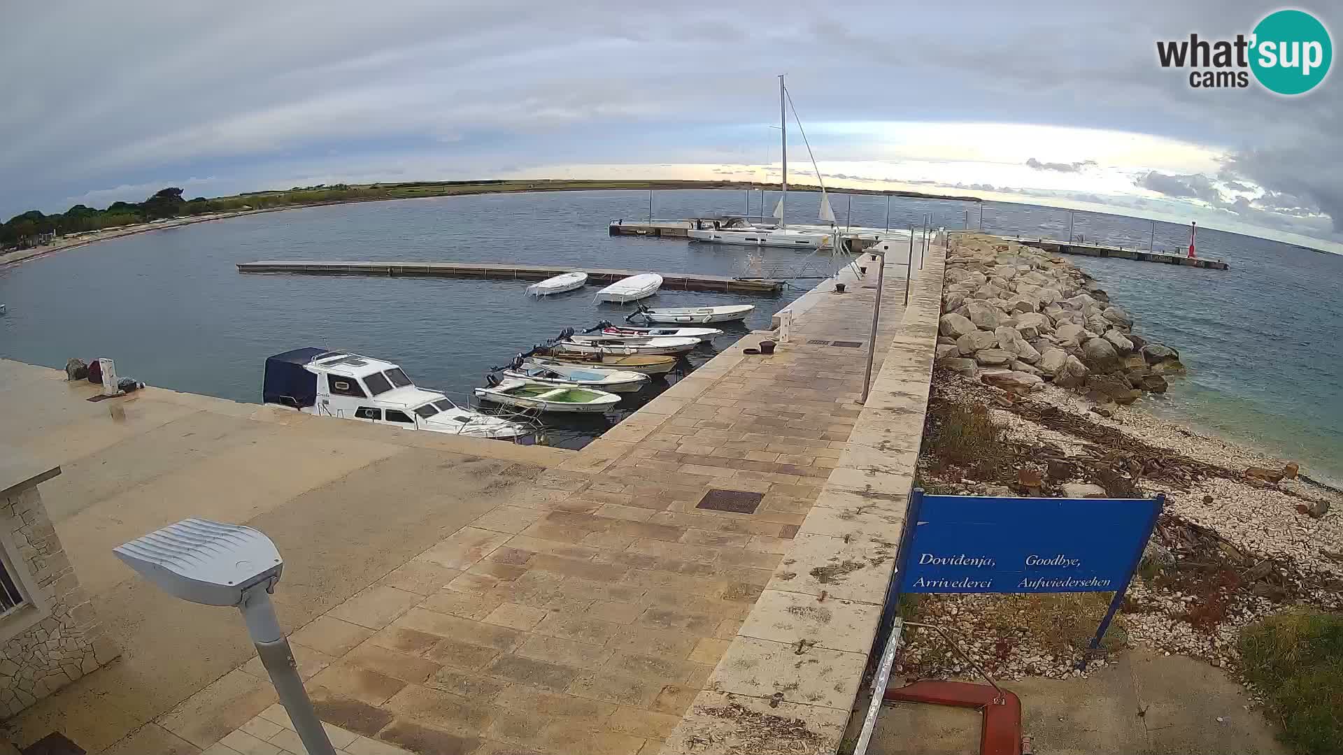 Cámara web de la isla de Unije: explore la belleza de la joya escondida de Croacia