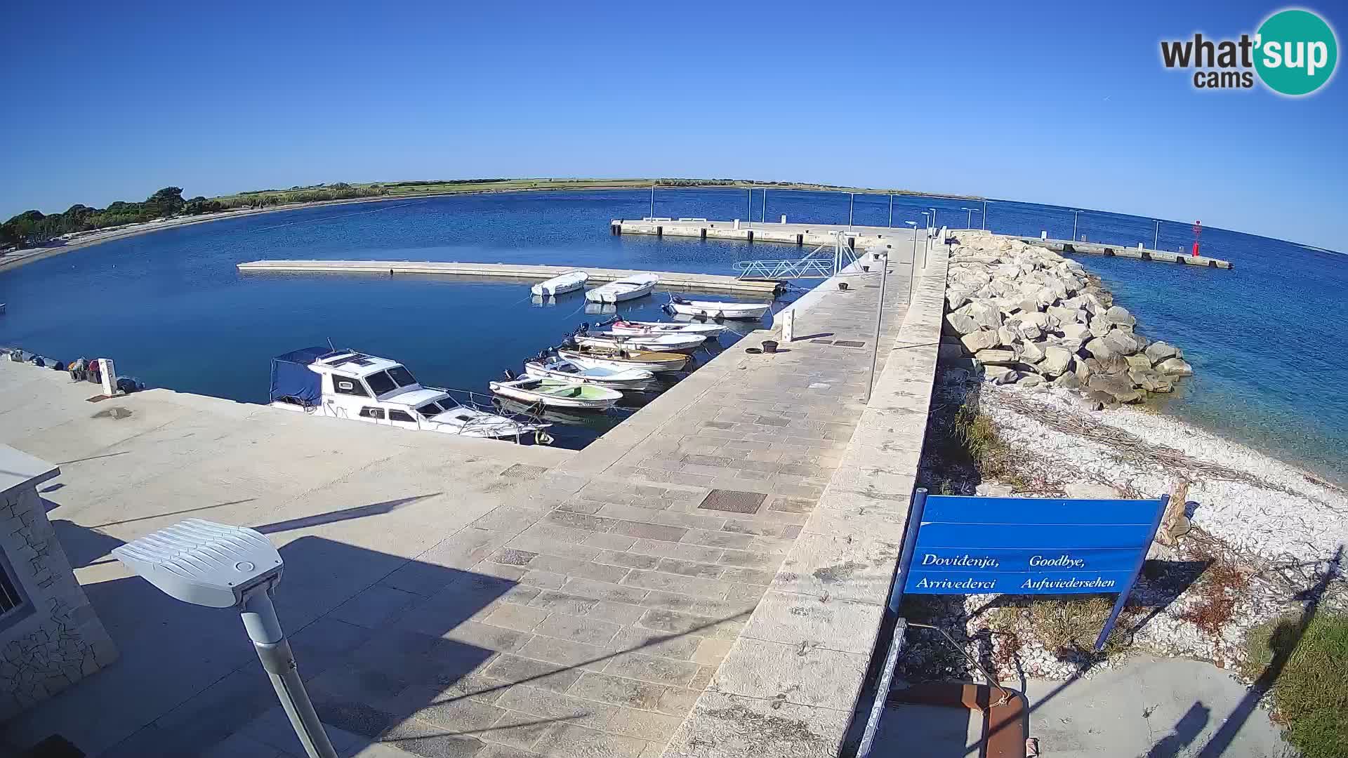 Cámara web de la isla de Unije: explore la belleza de la joya escondida de Croacia