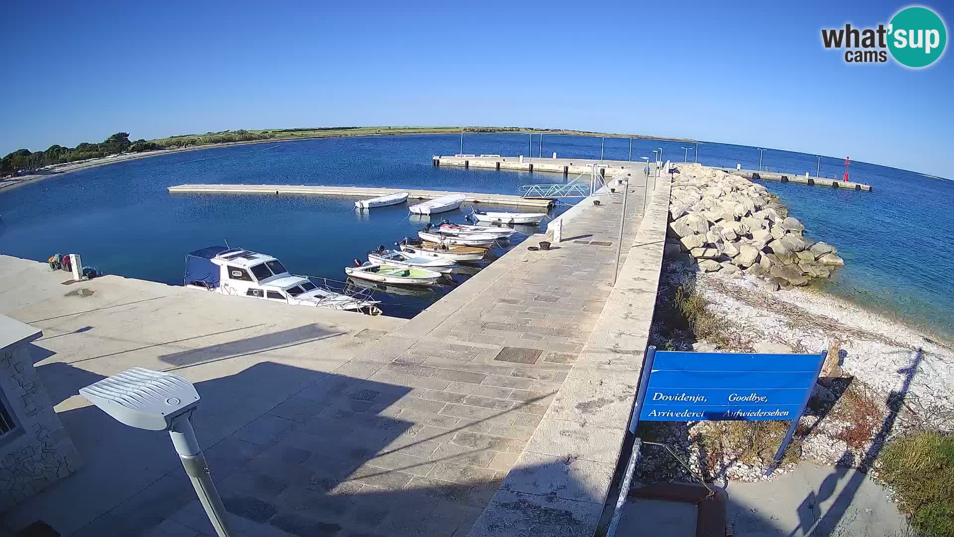 Cámara web de la isla de Unije: explore la belleza de la joya escondida de Croacia
