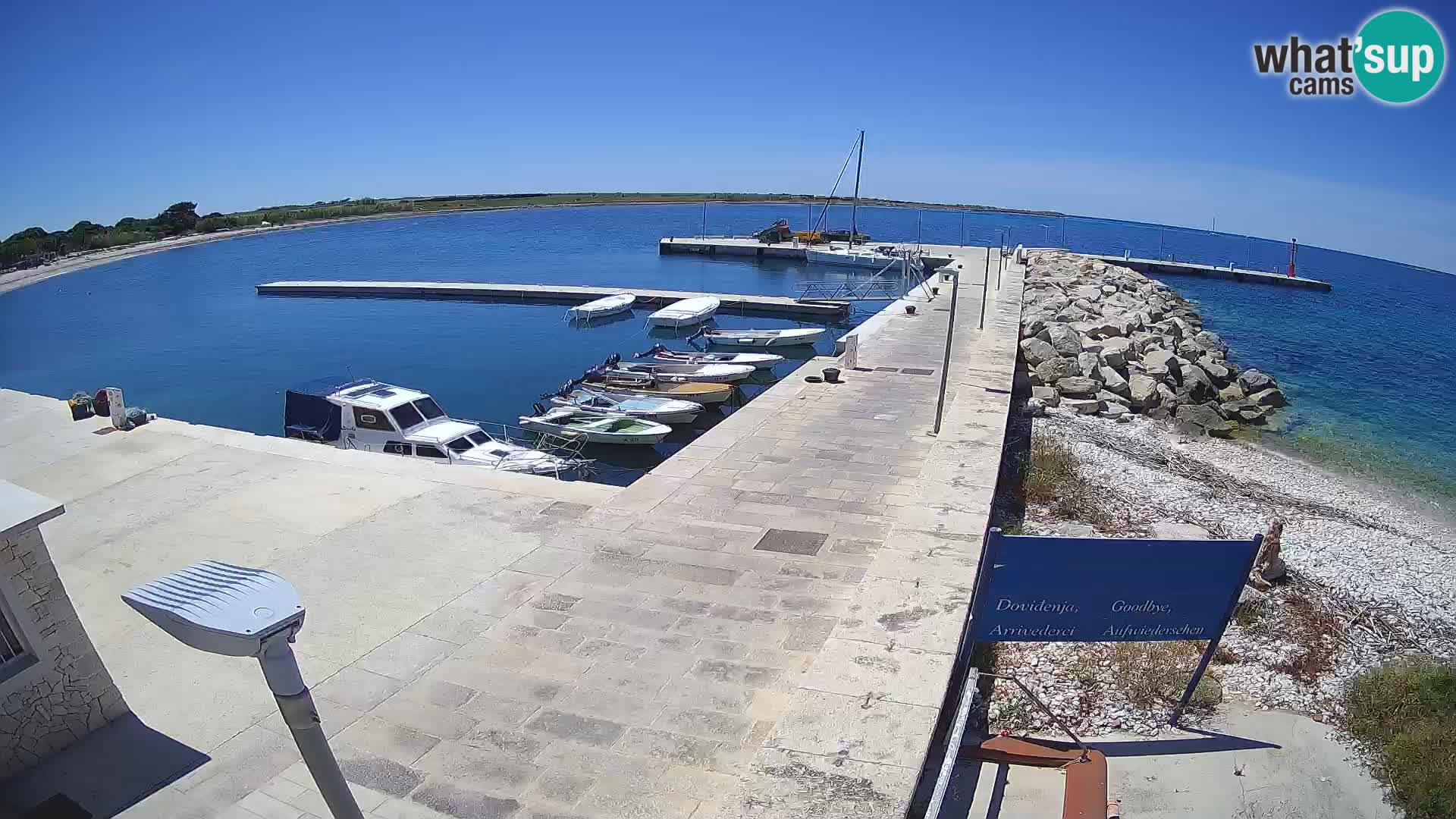 Webcam de l’île d’Unije – Explorez la beauté du joyau caché de la Croatie