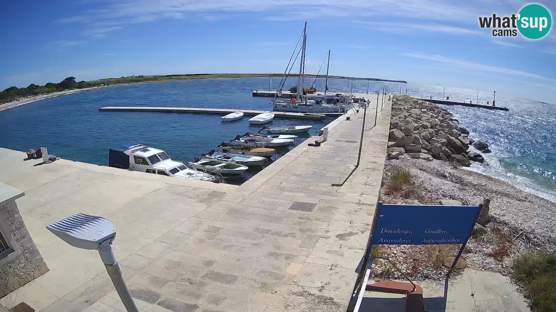 Cámara web de la isla de Unije: explore la belleza de la joya escondida de Croacia