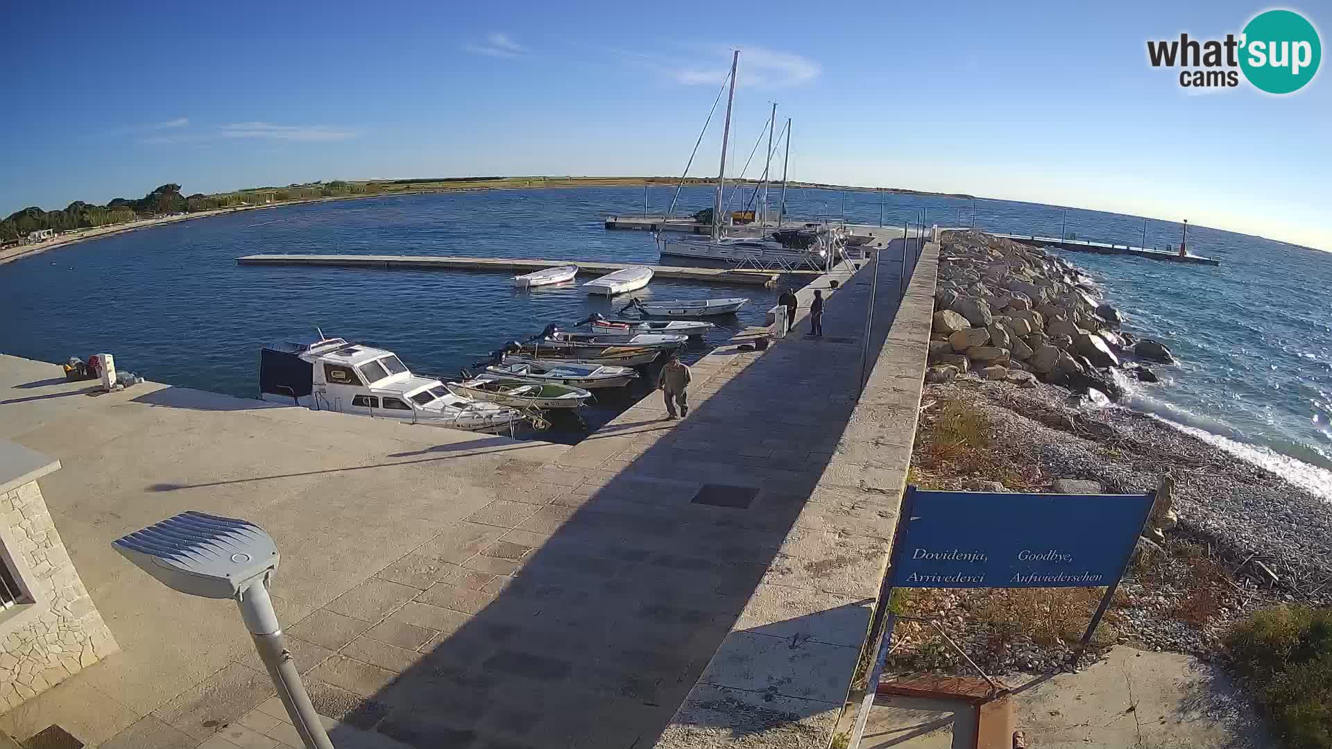 Cámara web de la isla de Unije: explore la belleza de la joya escondida de Croacia