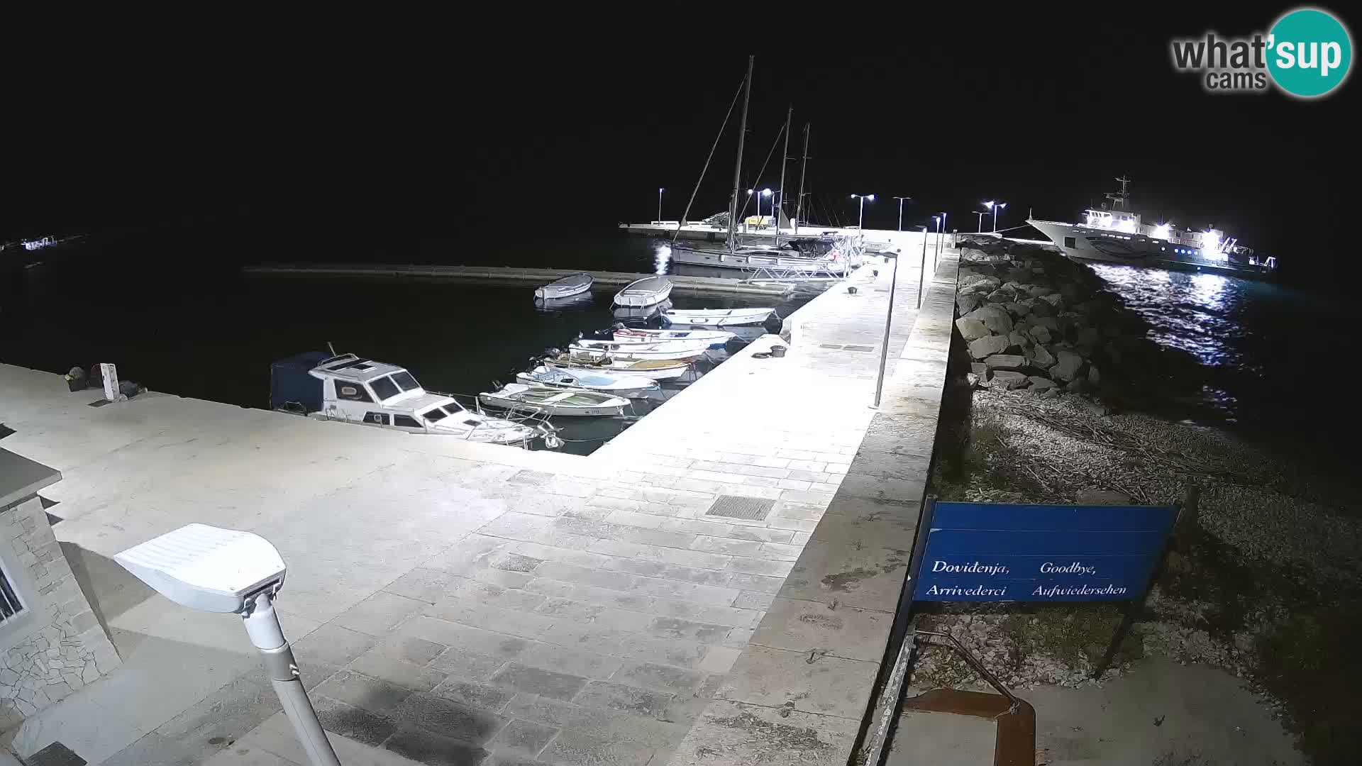 Cámara web de la isla de Unije: explore la belleza de la joya escondida de Croacia