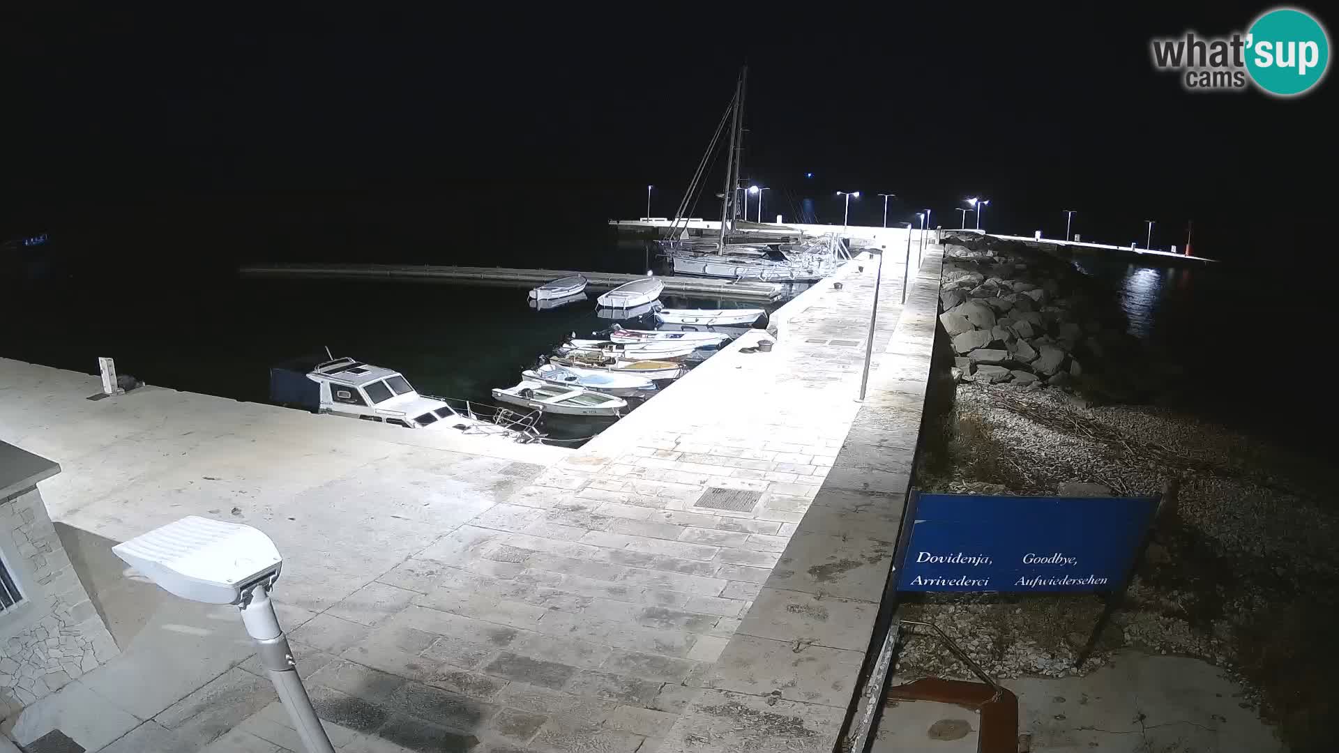 Webcam de l’île d’Unije – Explorez la beauté du joyau caché de la Croatie
