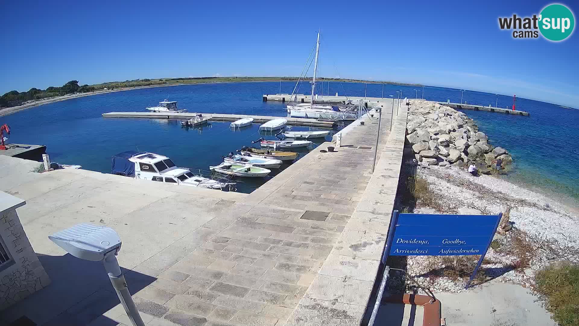 Webcam Isola di Unije – Esplora la bellezza della gemma nascosta della Croazia