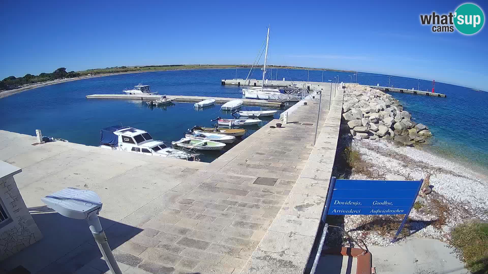 Webcam Isola di Unije – Esplora la bellezza della gemma nascosta della Croazia